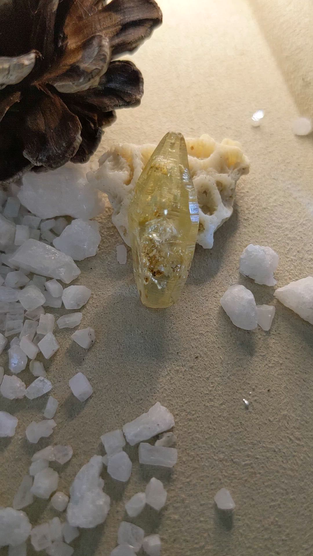 24.44 Ct. Sapphire from Ceylon (Sri Lanka) Size Video