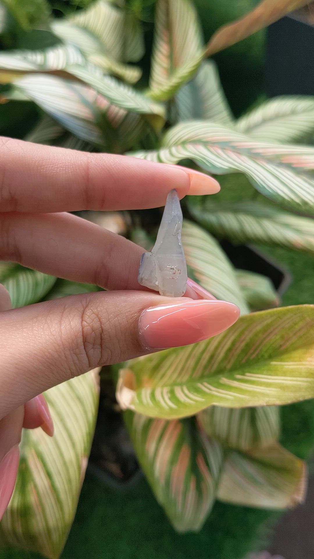 10.22 Ct. Bi Color Sapphire Crystal from Ceylon (Sri Lanka) Size Video