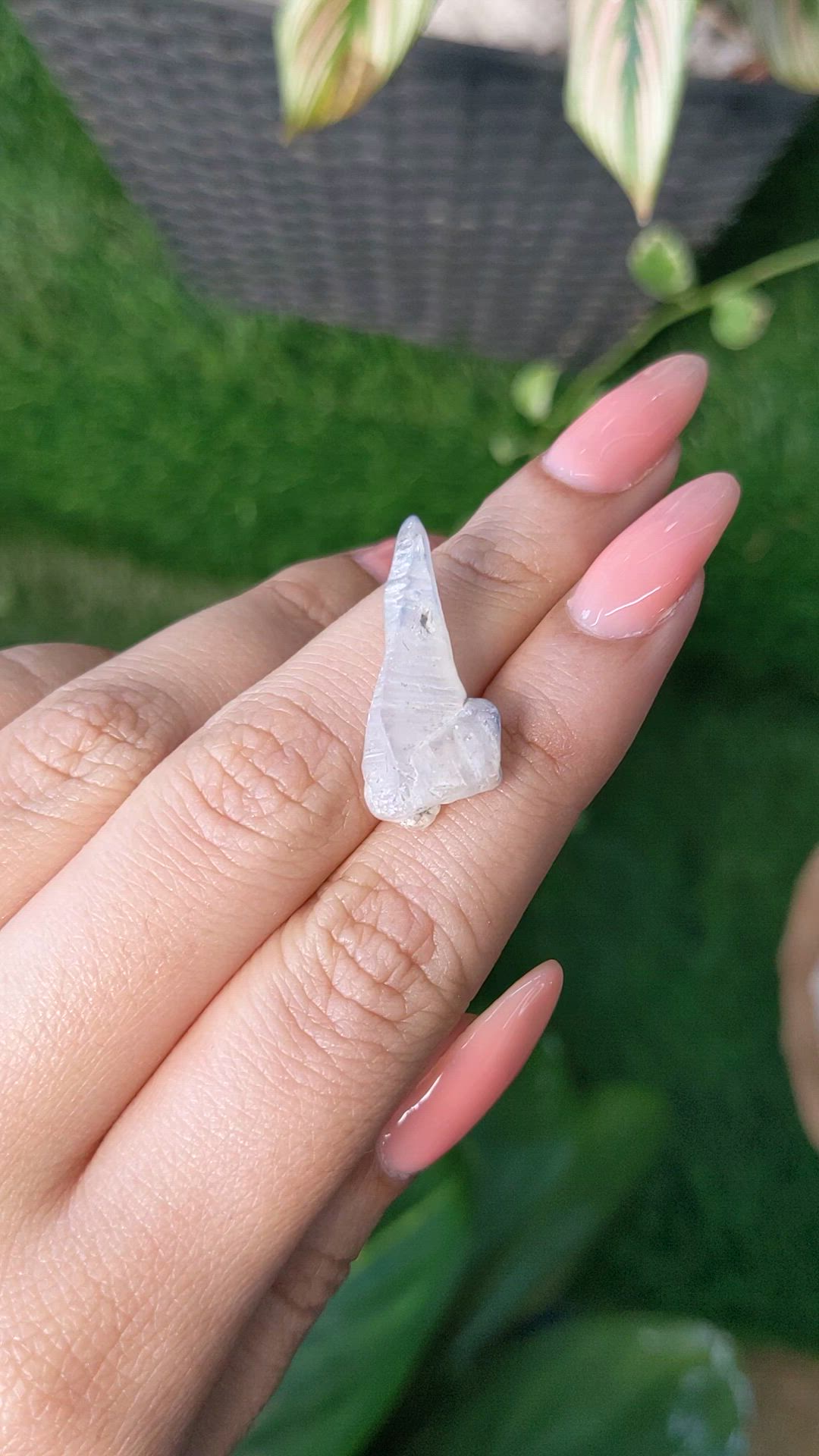 10.22 Ct. Bi Color Sapphire Crystal from Ceylon (Sri Lanka) Size Video