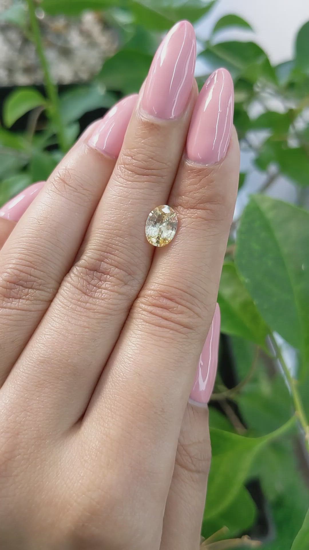 1.57 Ct. Yellow Sapphire from Ceylon (Sri Lanka) Size Video