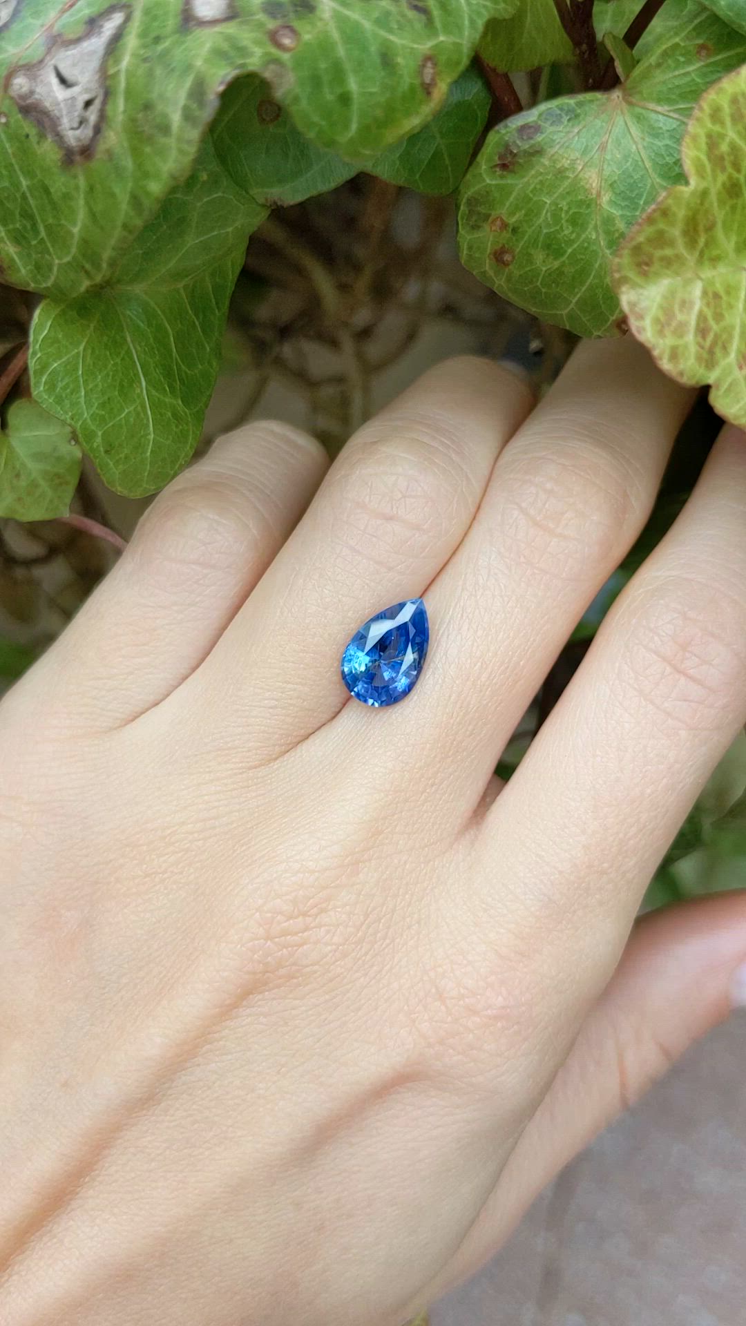 2.92 Ct. Blue Sapphire from Ceylon (Sri Lanka) Size Video