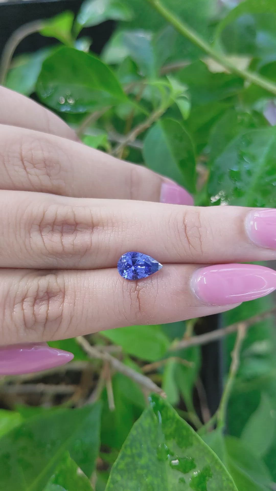 1.69 Ct. Blue Sapphire from Ceylon (Sri Lanka) Size Video