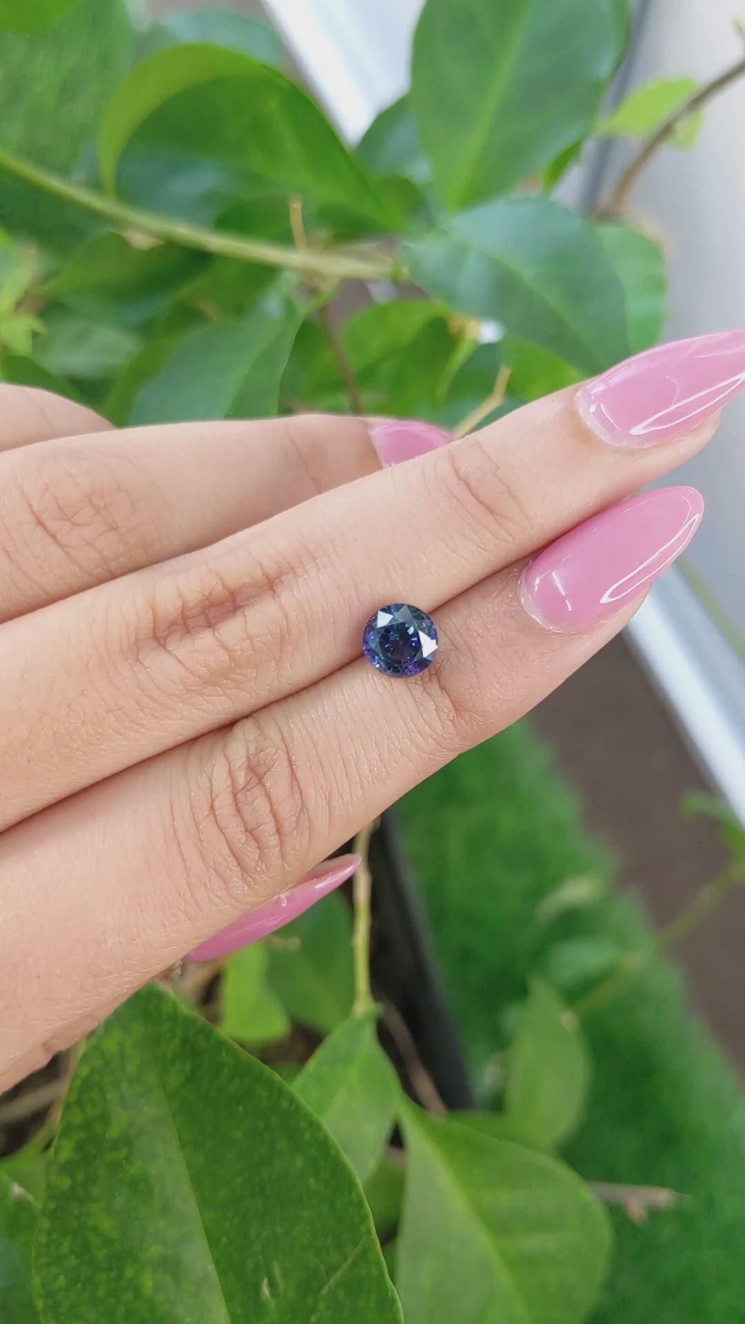 1.59 Ct. Blue Sapphire from Ceylon (Sri Lanka) Size Video