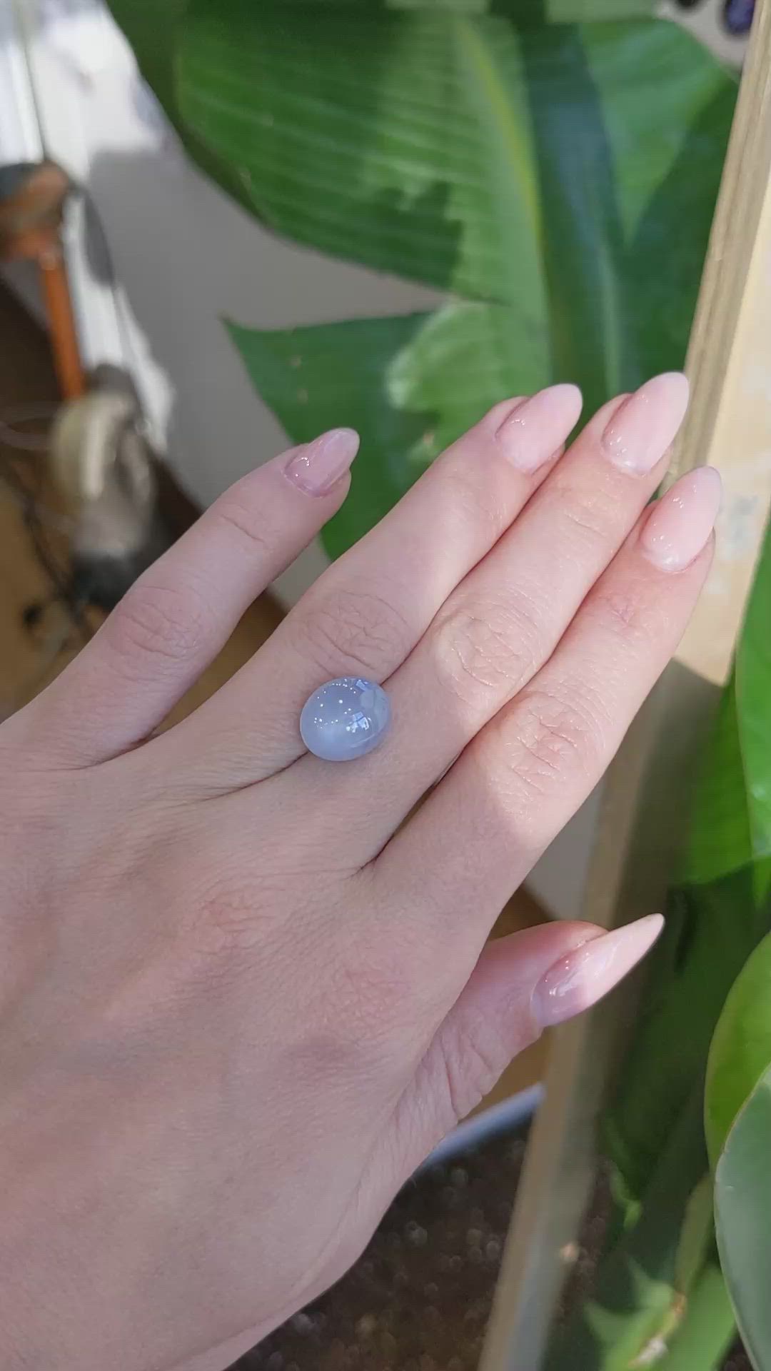 8.04 Ct. Greyish Blue Star Sapphire from Ceylon (Sri Lanka) Size Video