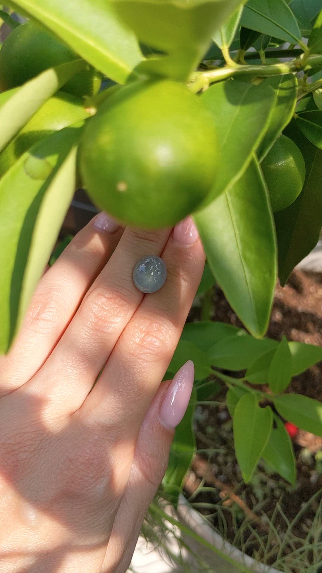 8.04 Ct. Greyish Blue Star Sapphire from Ceylon (Sri Lanka) Size Video