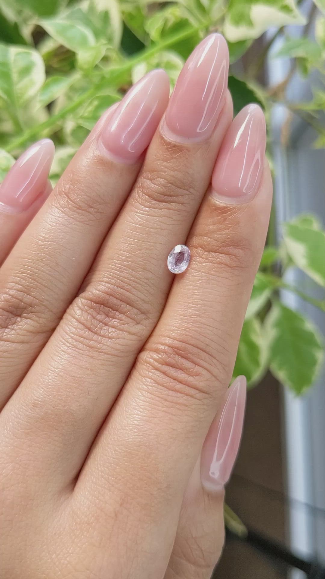 0.54 Ct. Pink Sapphire from Ceylon (Sri Lanka) Size Video