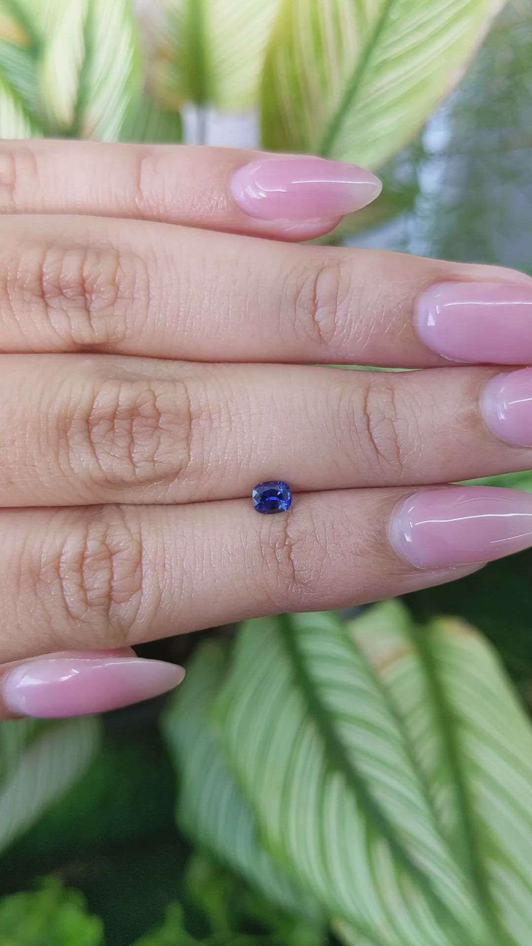 0.37 Ct. Sapphire from Ceylon (Sri Lanka) Size Video