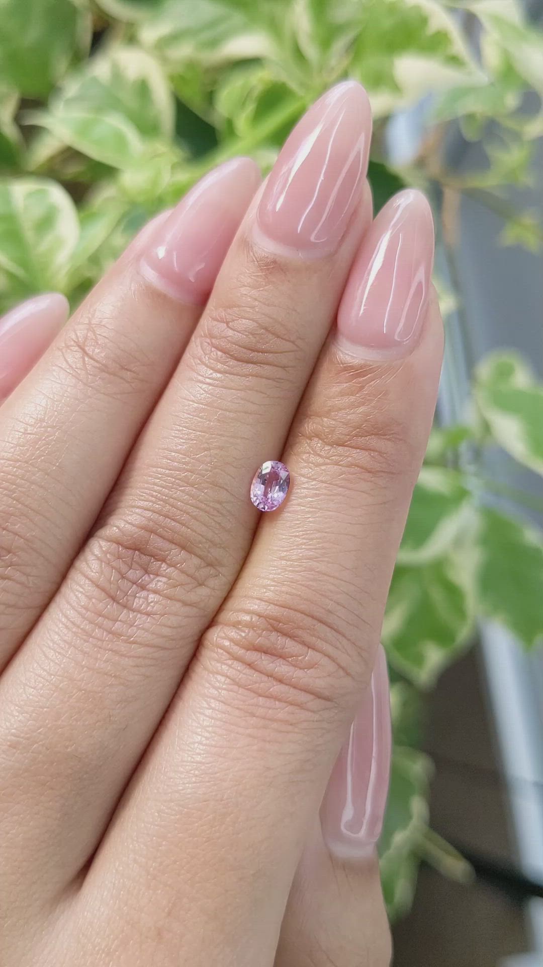 0.47 Ct. Pink Sapphire from Ceylon (Sri Lanka) Size Video