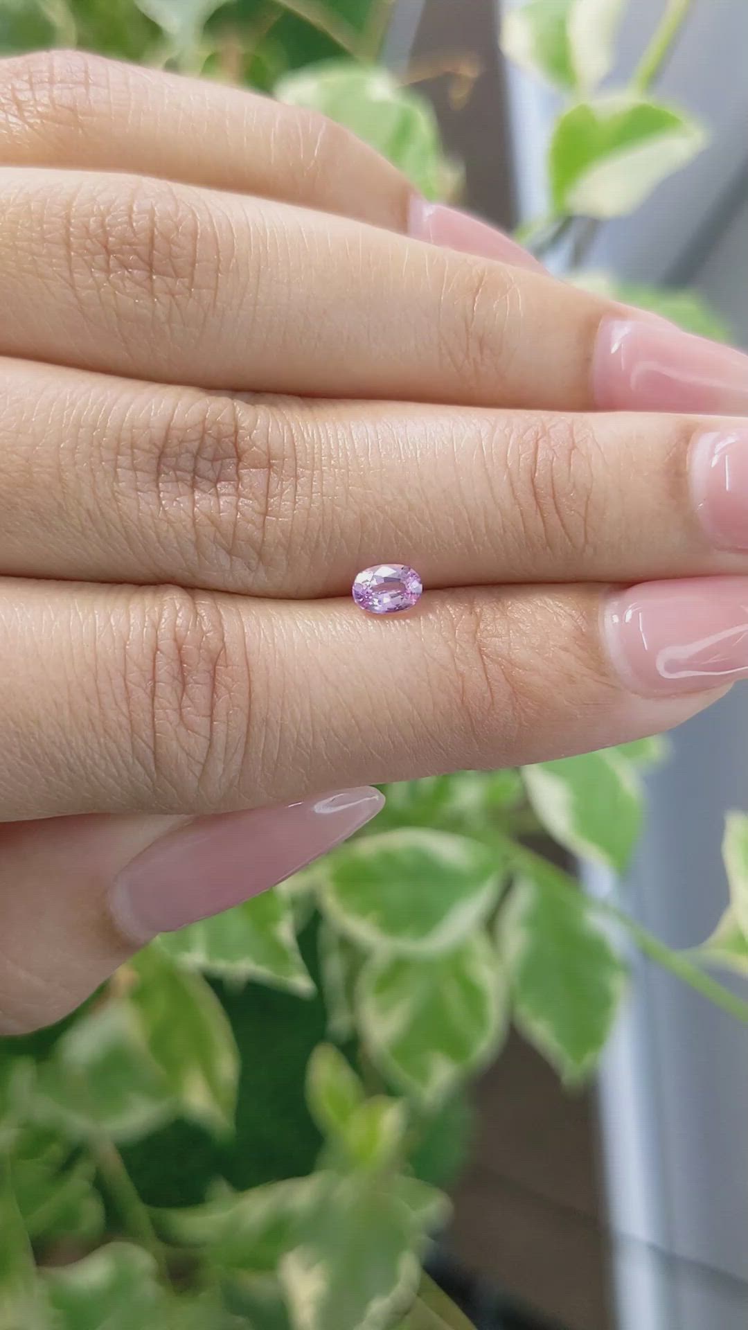 0.47 Ct. Pink Sapphire from Ceylon (Sri Lanka) Size Video