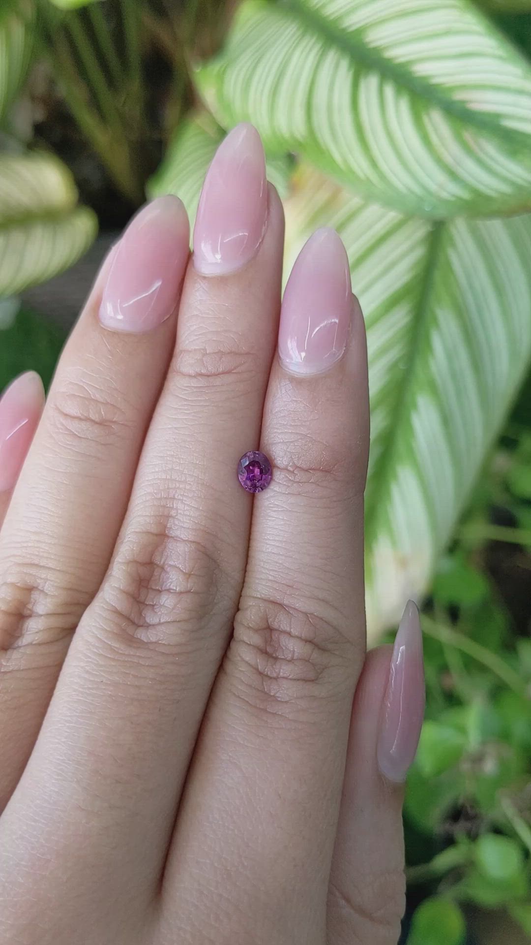 0.38 Ct. Purplish Pink Sapphire from Ceylon (Sri Lanka) Size Video