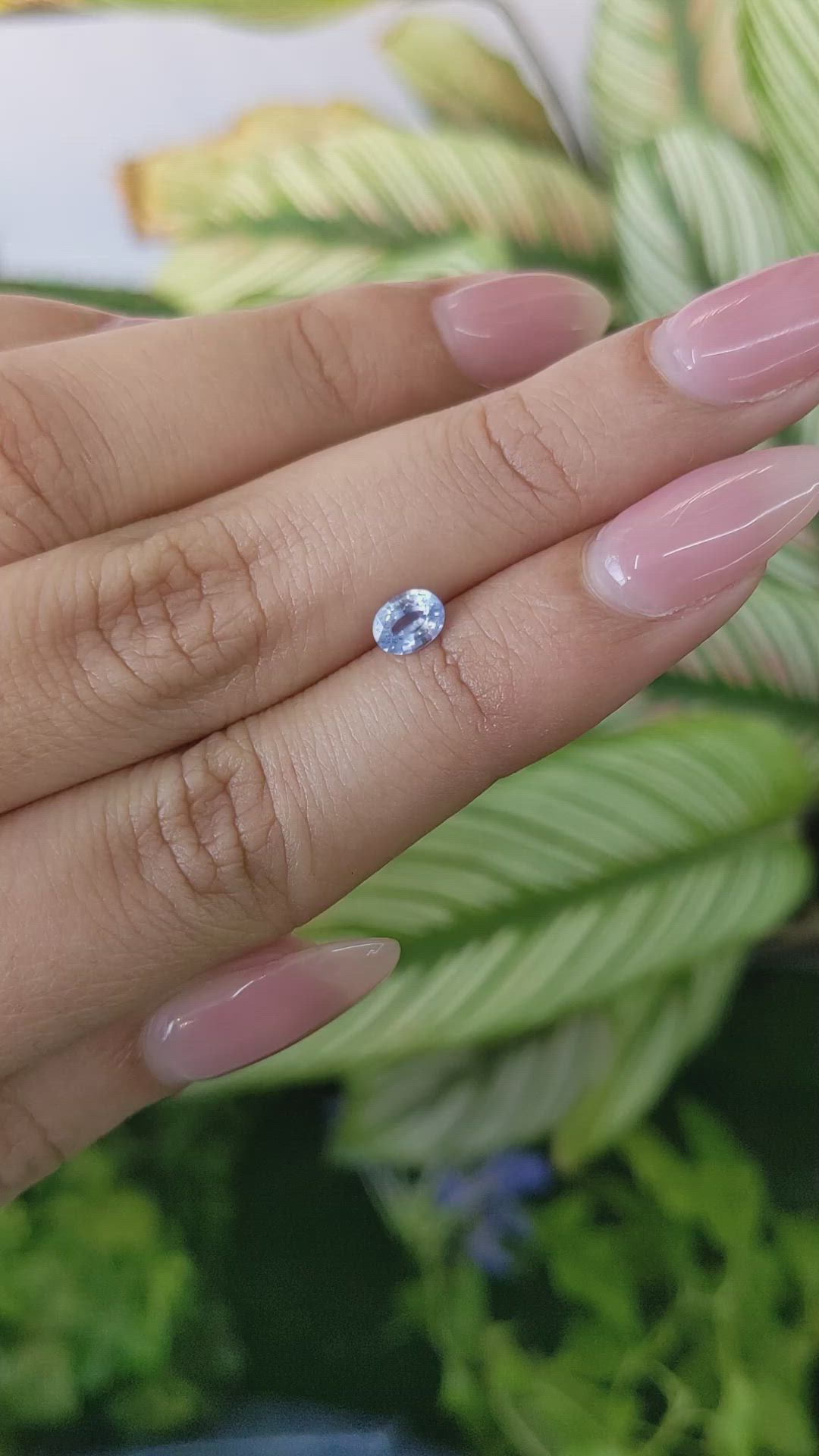 0.51 Ct. Blue Sapphire from Ceylon (Sri Lanka) Size Video