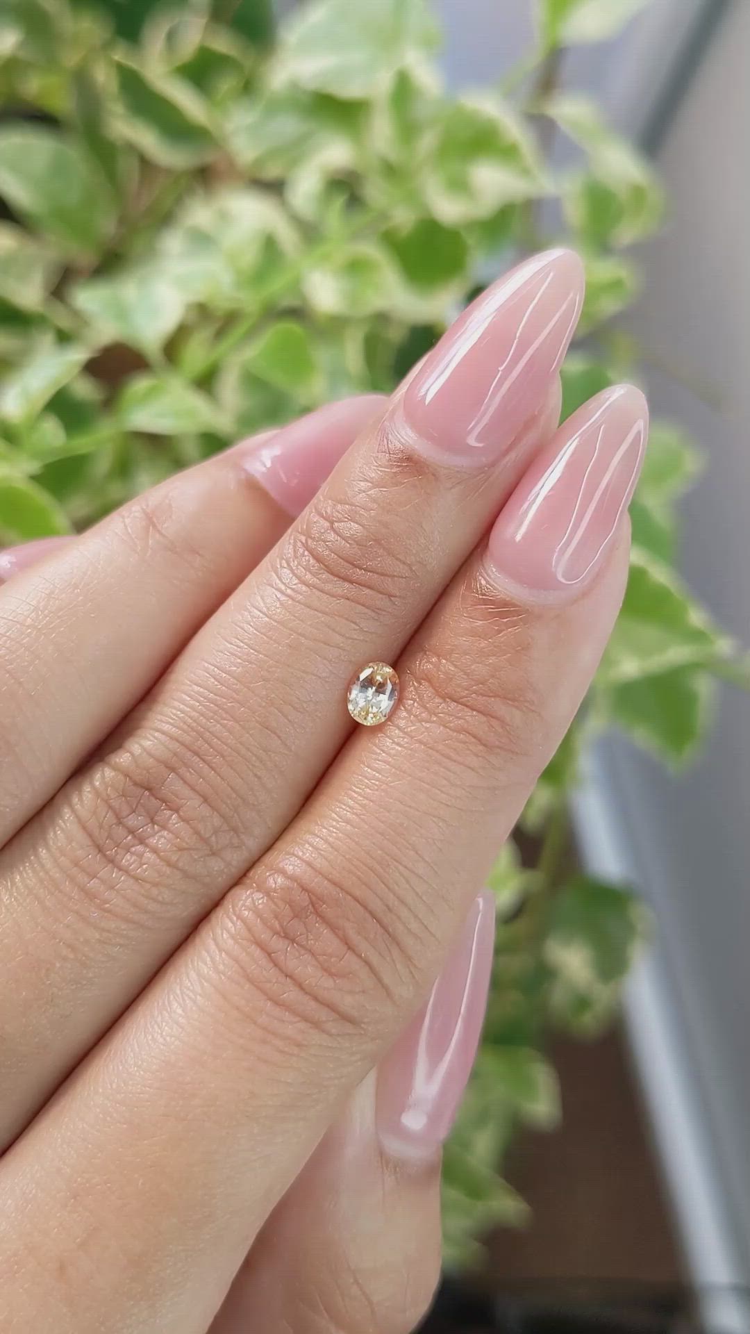 0.44 Ct. Yellow Sapphire from Ceylon (Sri Lanka) Size Video