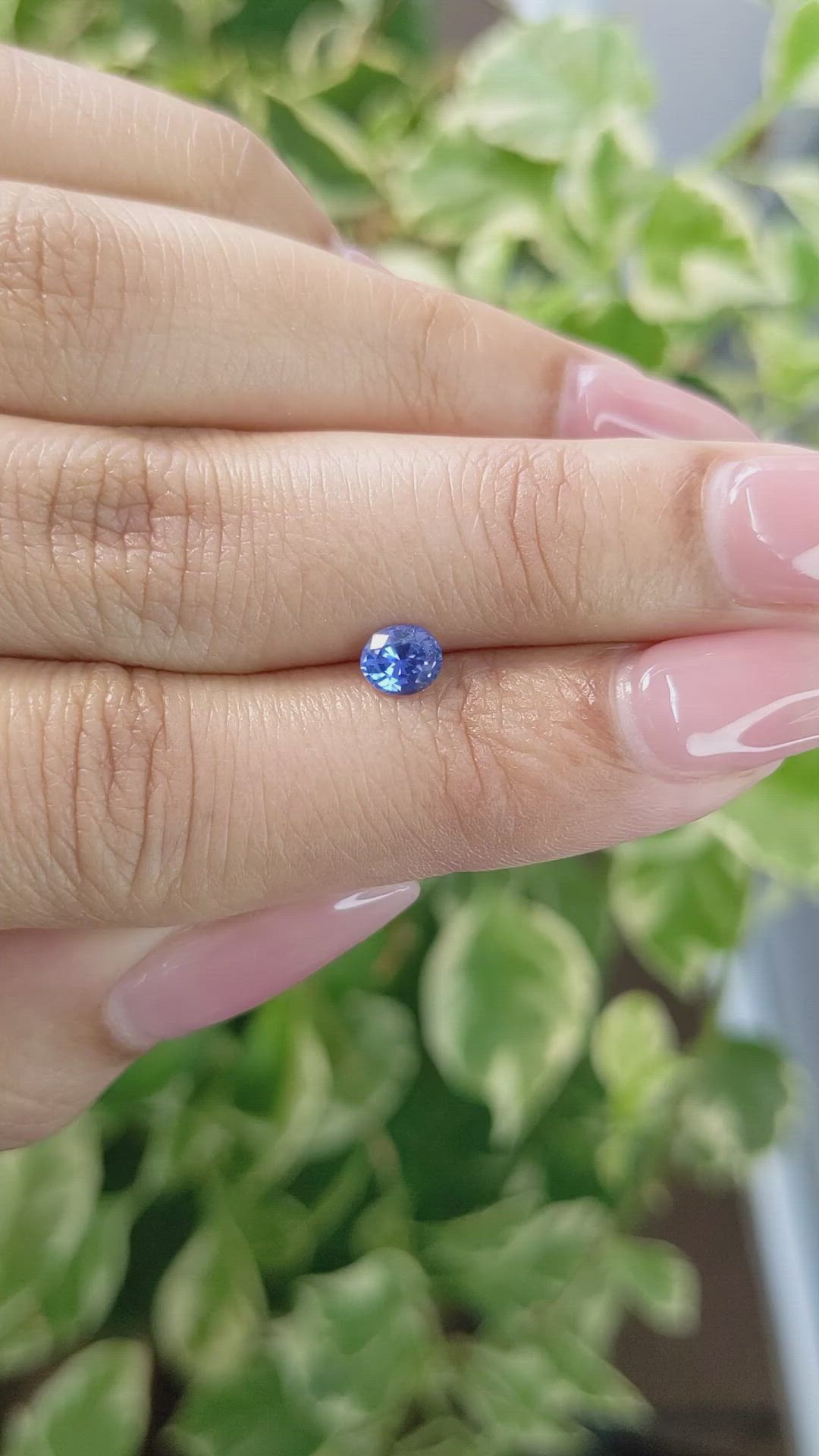 0.50 Ct. Blue Sapphire from Ceylon (Sri Lanka) Size Video