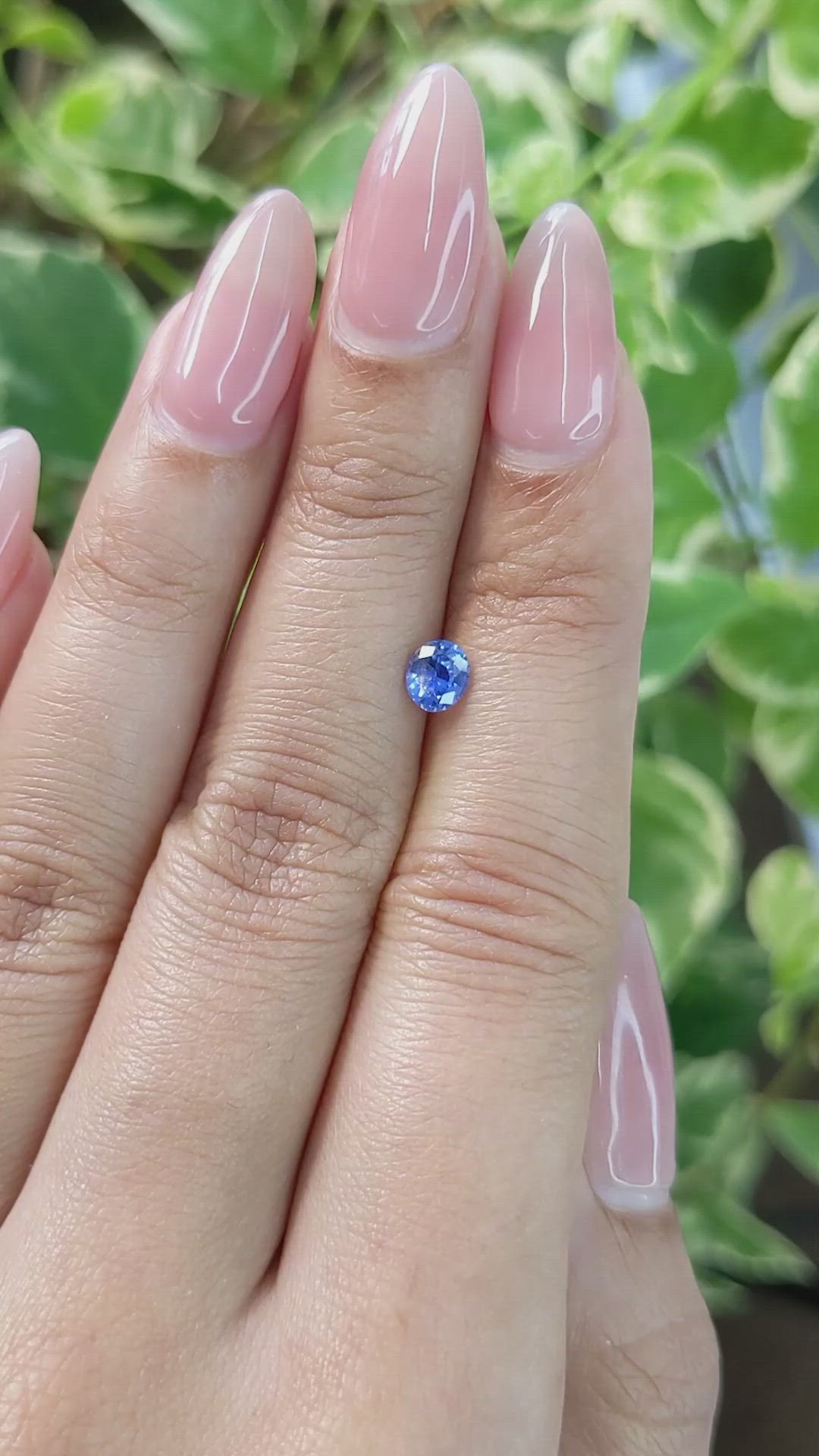 0.50 Ct. Blue Sapphire from Ceylon (Sri Lanka) Size Video