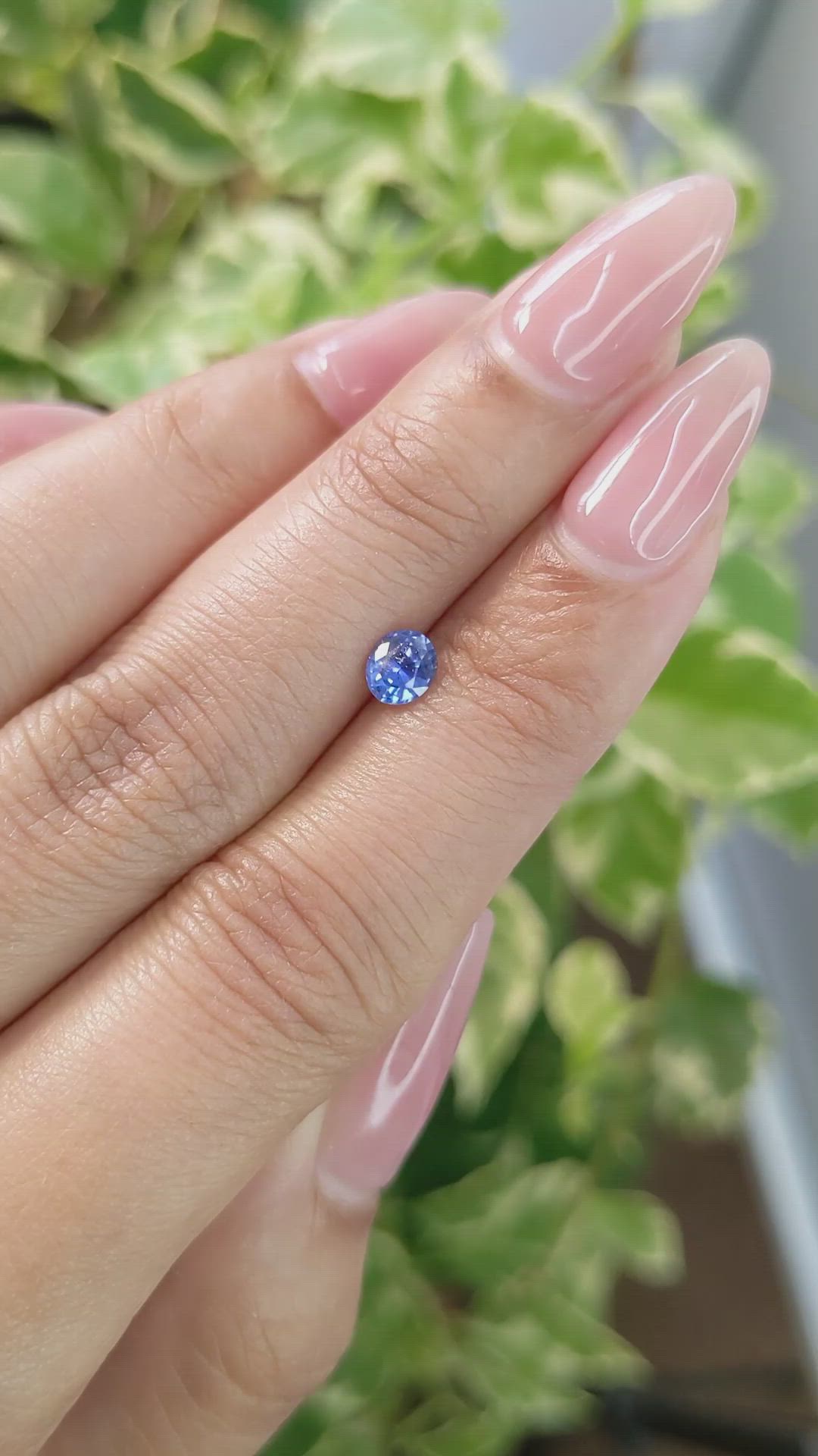 0.50 Ct. Blue Sapphire from Ceylon (Sri Lanka) Size Video