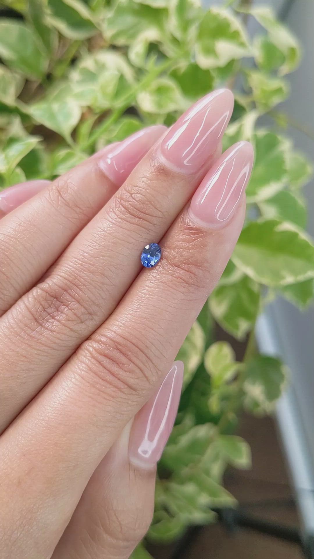 0.36 Ct. Blue Sapphire from Ceylon (Sri Lanka) Size Video