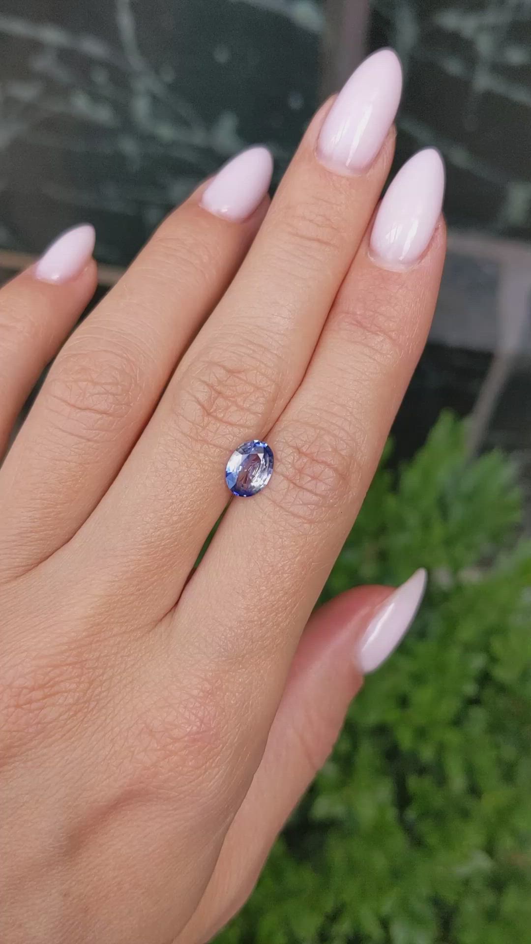 1.31 Ct. Bi Color Sapphire from Ceylon (Sri Lanka) Size Video