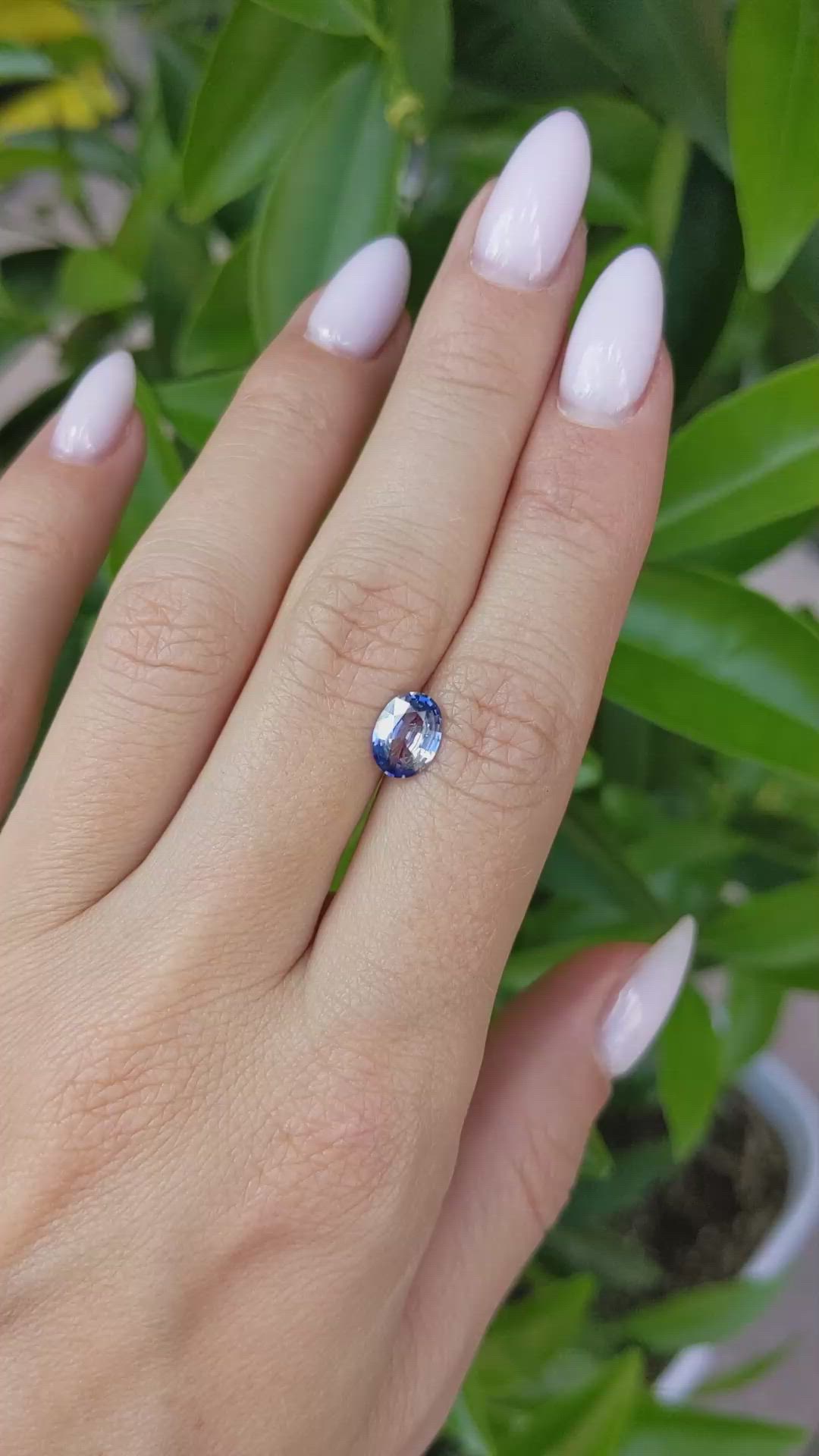 1.31 Ct. Bi Color Sapphire from Ceylon (Sri Lanka) Size Video