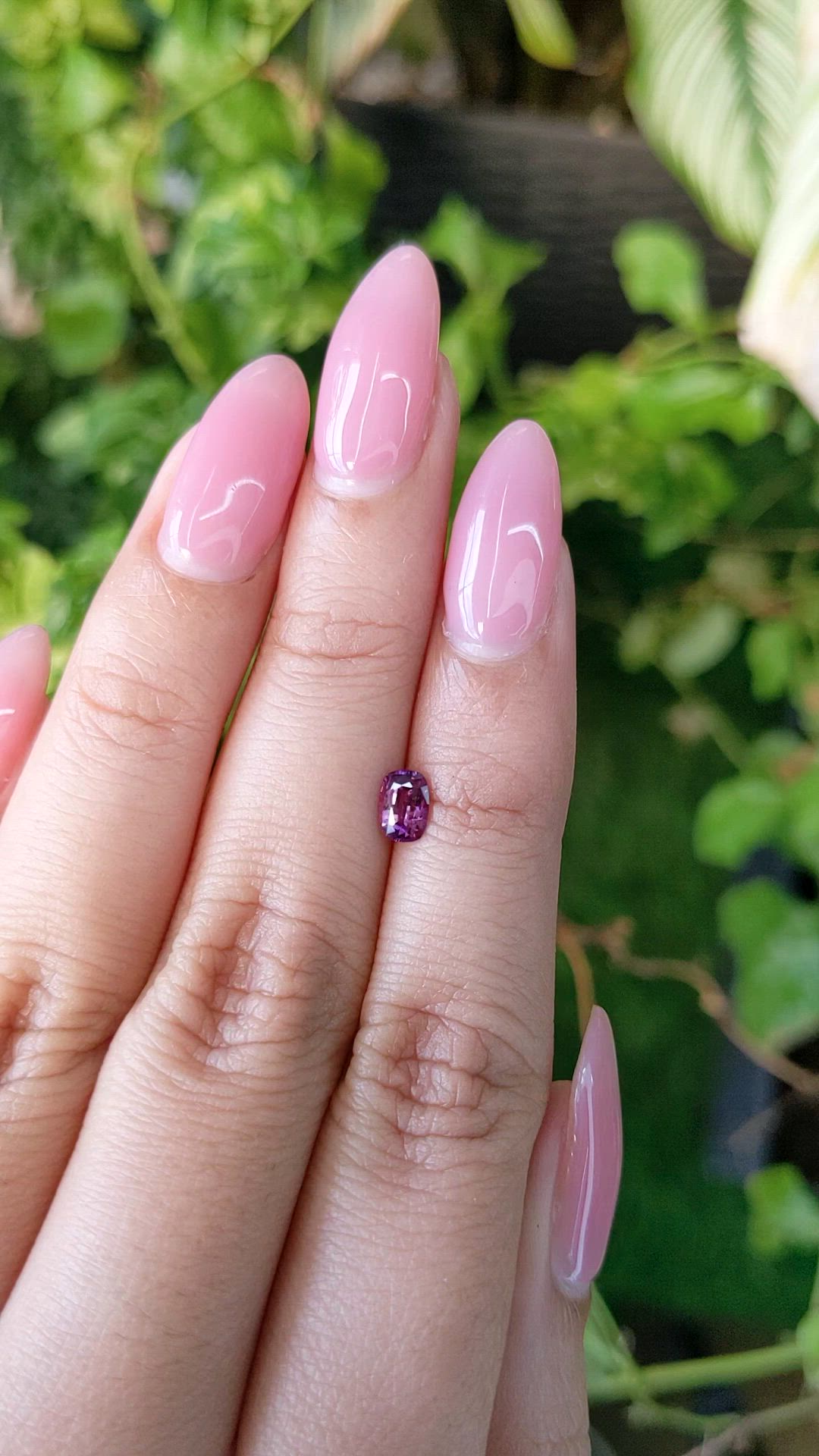 0.49 Ct. Purplish Pink Sapphire from Ceylon (Sri Lanka) Size Video