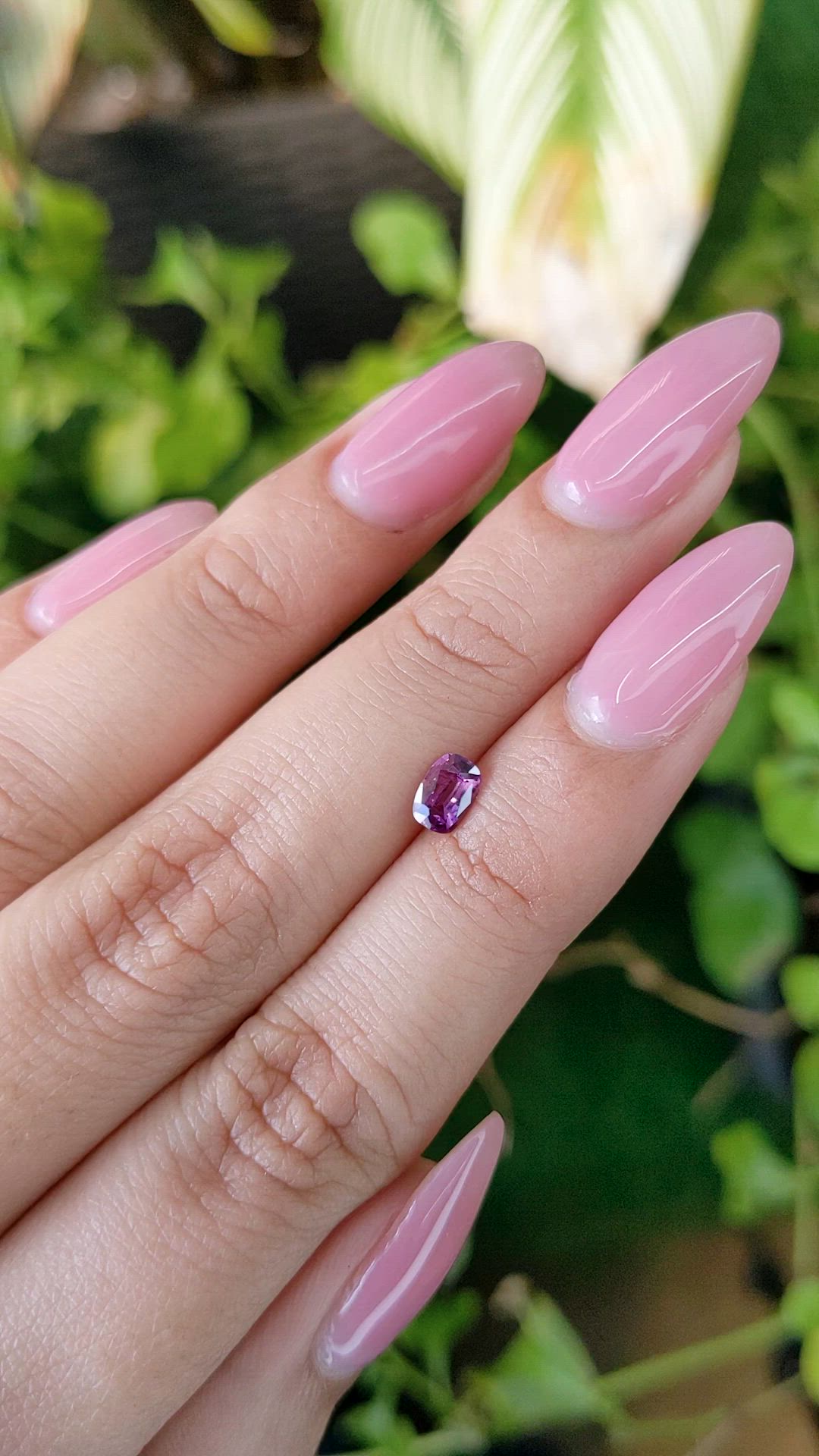 0.49 Ct. Purplish Pink Sapphire from Ceylon (Sri Lanka) Size Video
