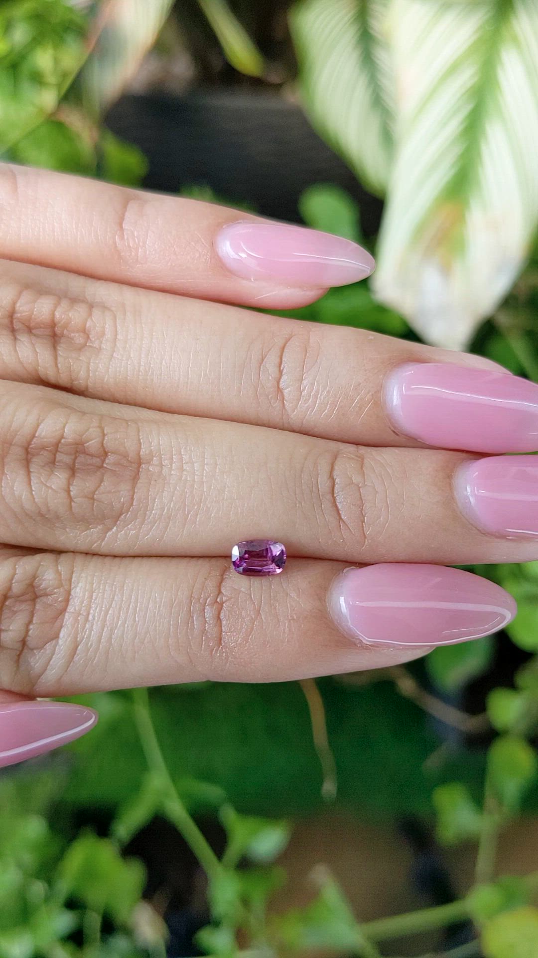 0.49 Ct. Purplish Pink Sapphire from Ceylon (Sri Lanka) Size Video