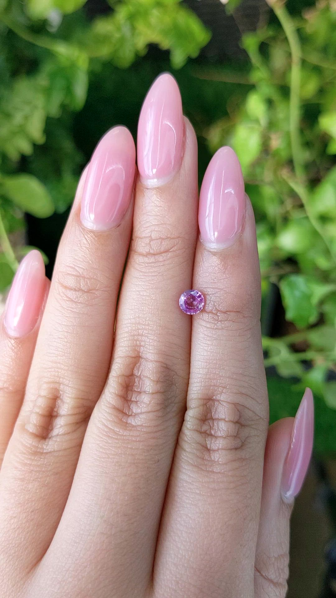 0.48 Ct. Pink Sapphire from Ceylon (Sri Lanka) Size Video