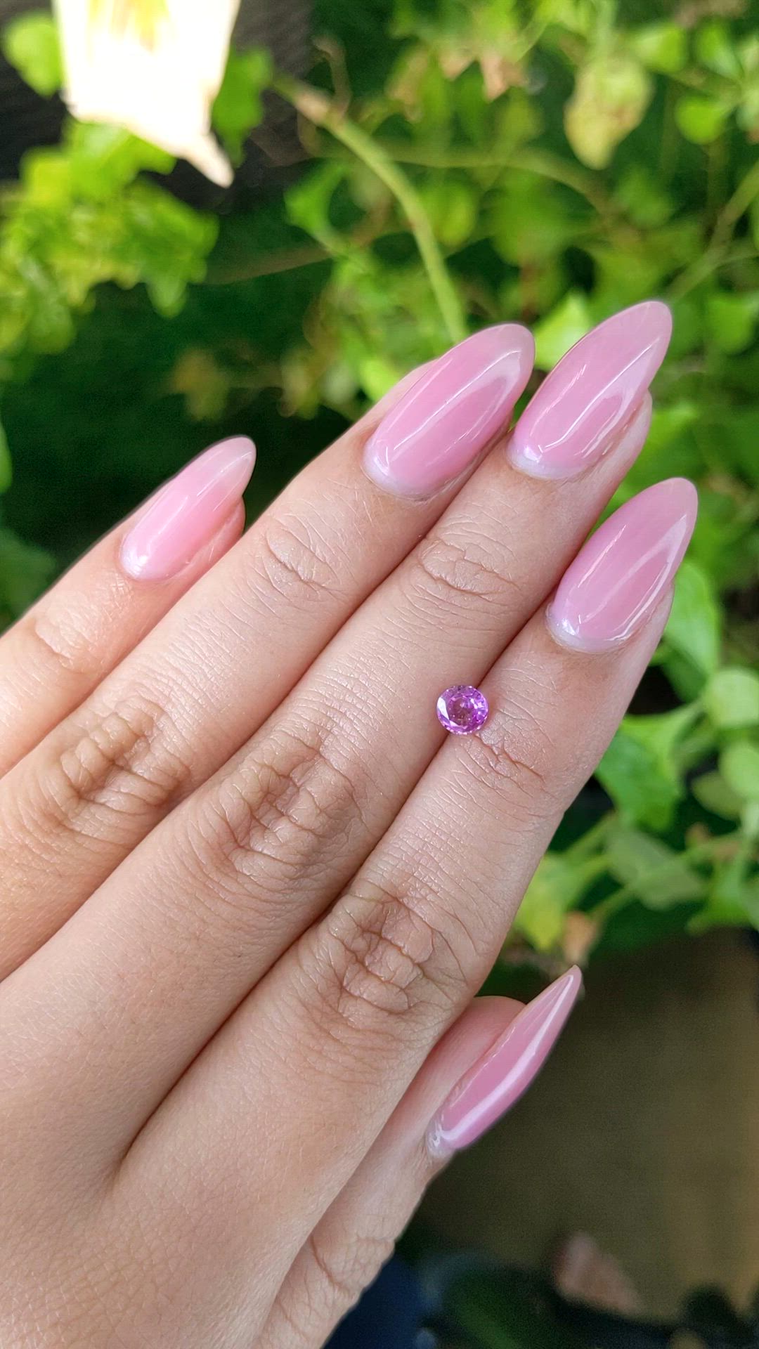 0.48 Ct. Pink Sapphire from Ceylon (Sri Lanka) Size Video