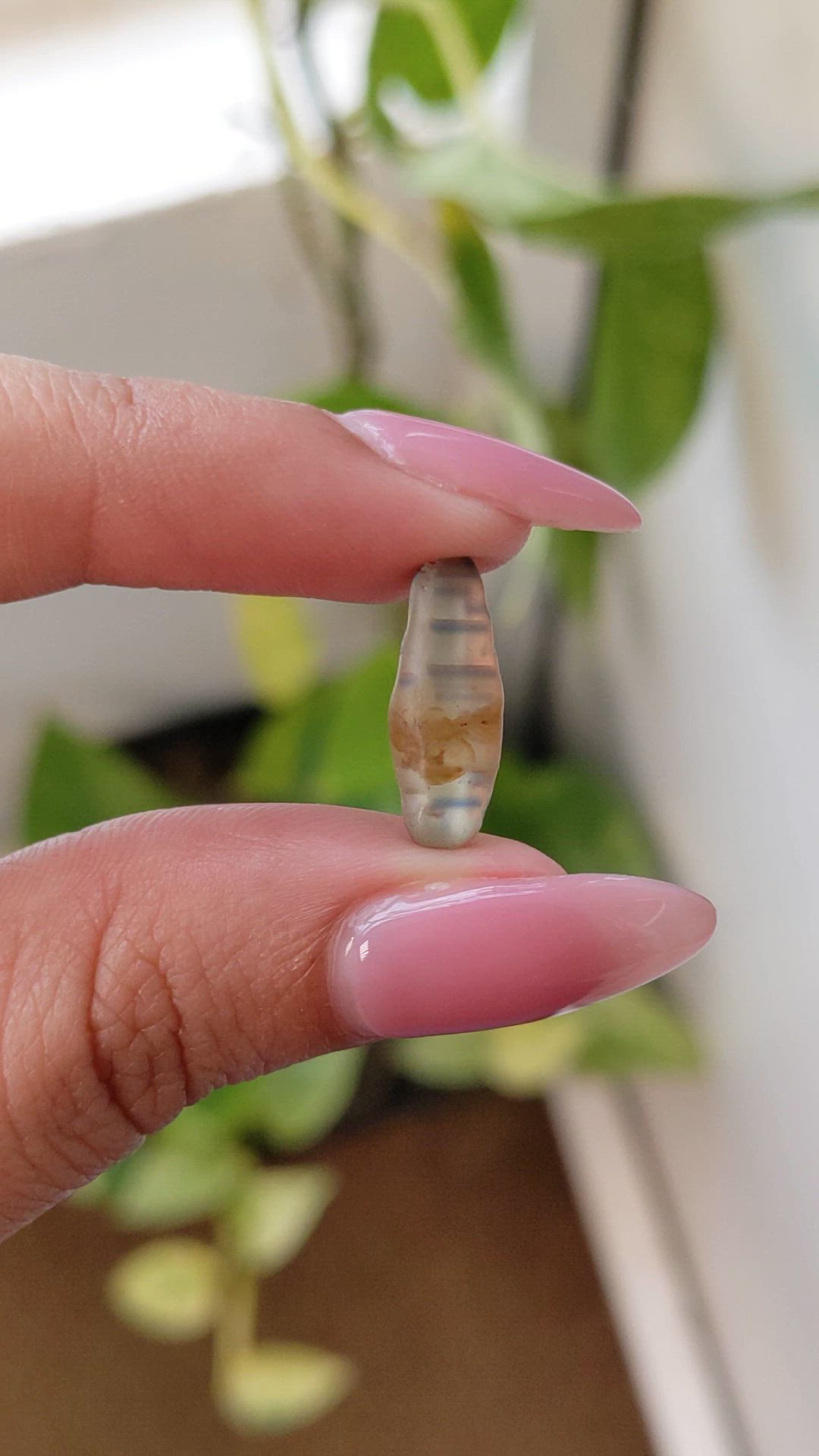 6.44 Ct. Bi Color Rough Sapphire from Ceylon (Sri Lanka) Size Video