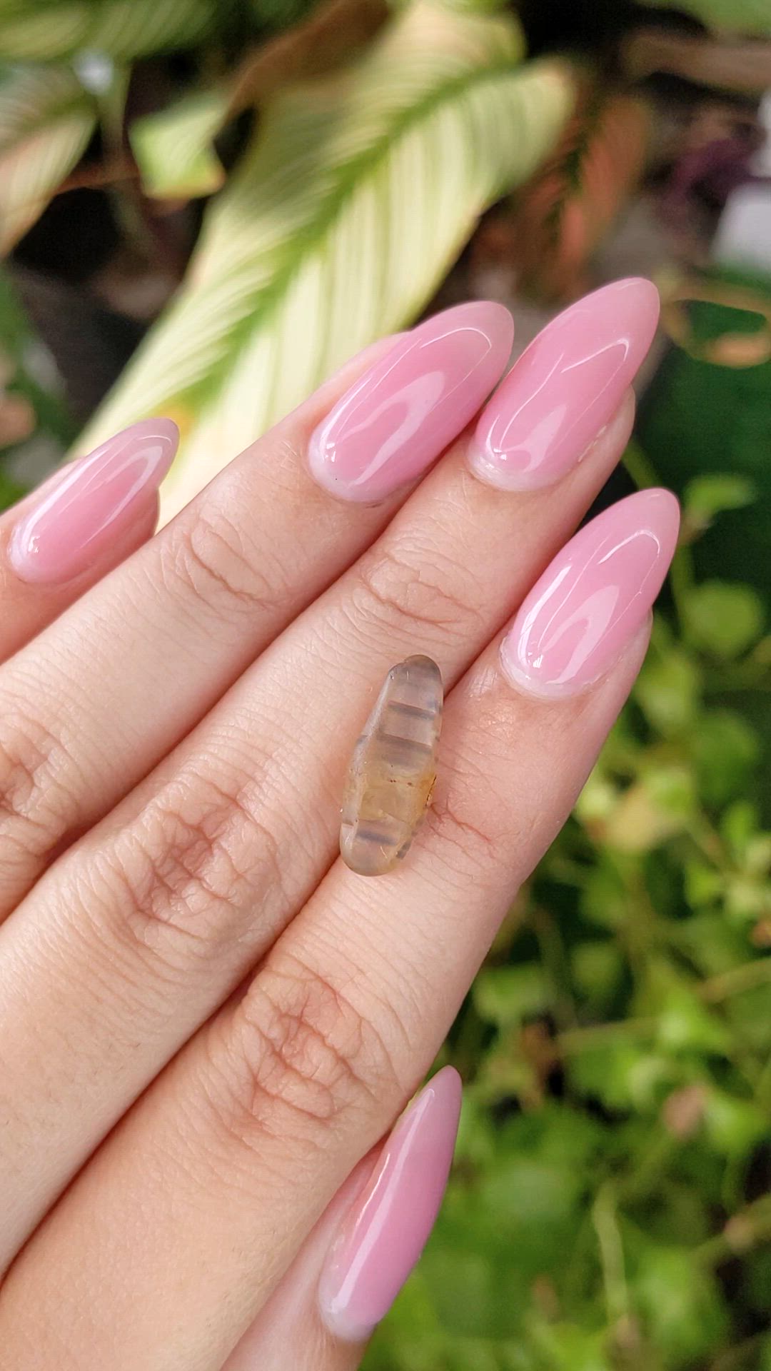 6.44 Ct. Bi Color Rough Sapphire from Ceylon (Sri Lanka) Size Video