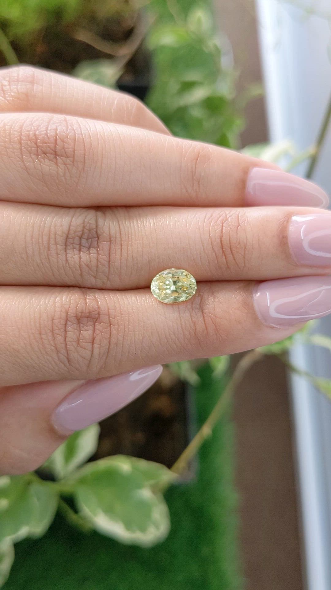 1.70 Ct. Yellow Sapphire from Ceylon (Sri Lanka) Size Video