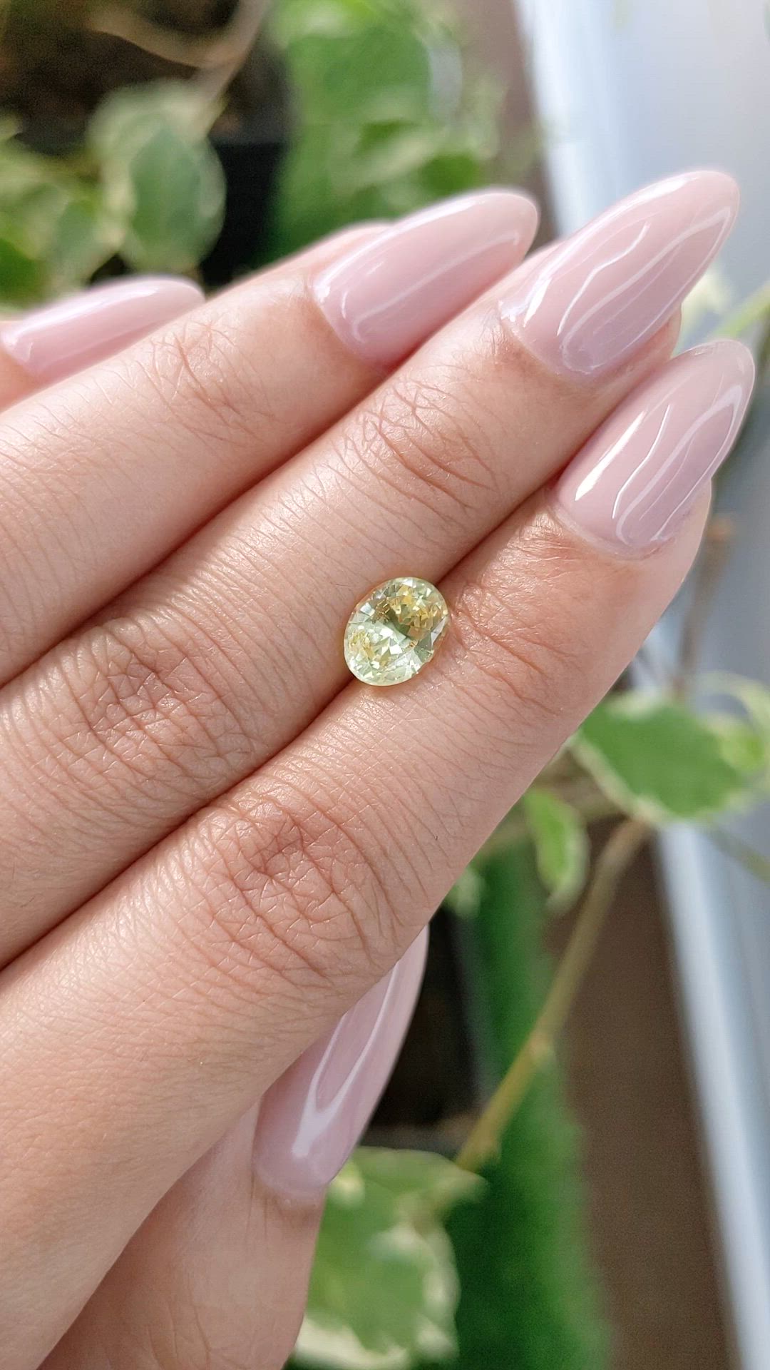 1.70 Ct. Yellow Sapphire from Ceylon (Sri Lanka) Size Video