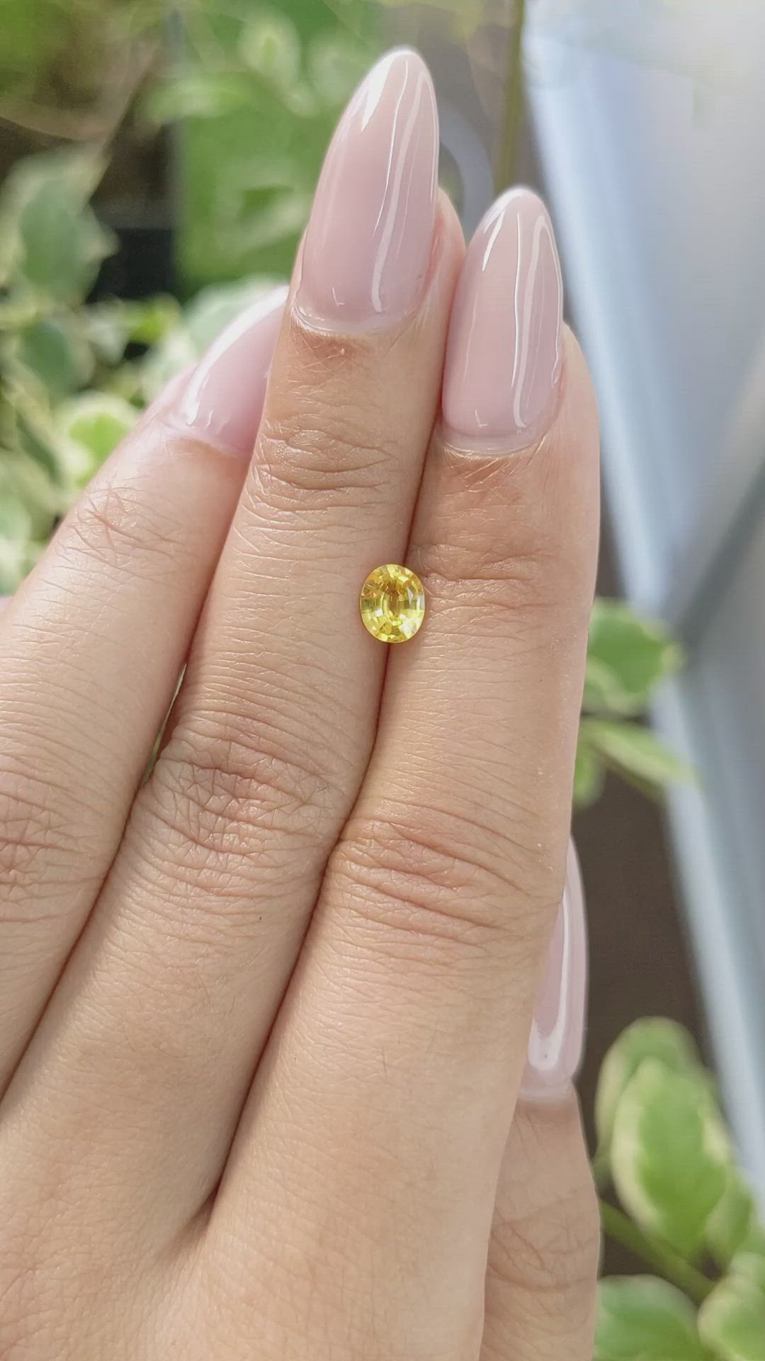 0.57 Ct. Yellow Sapphire from Ceylon (Sri Lanka) Size Video