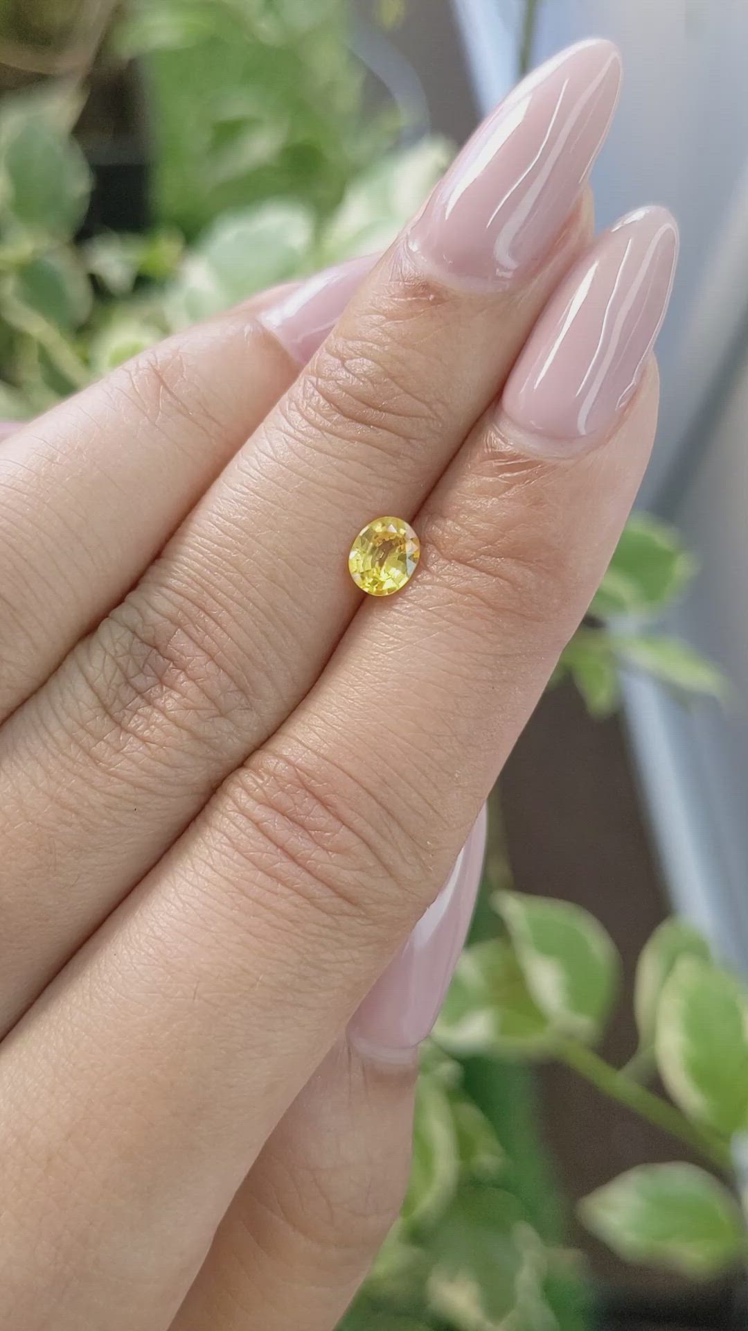 0.57 Ct. Yellow Sapphire from Ceylon (Sri Lanka) Size Video
