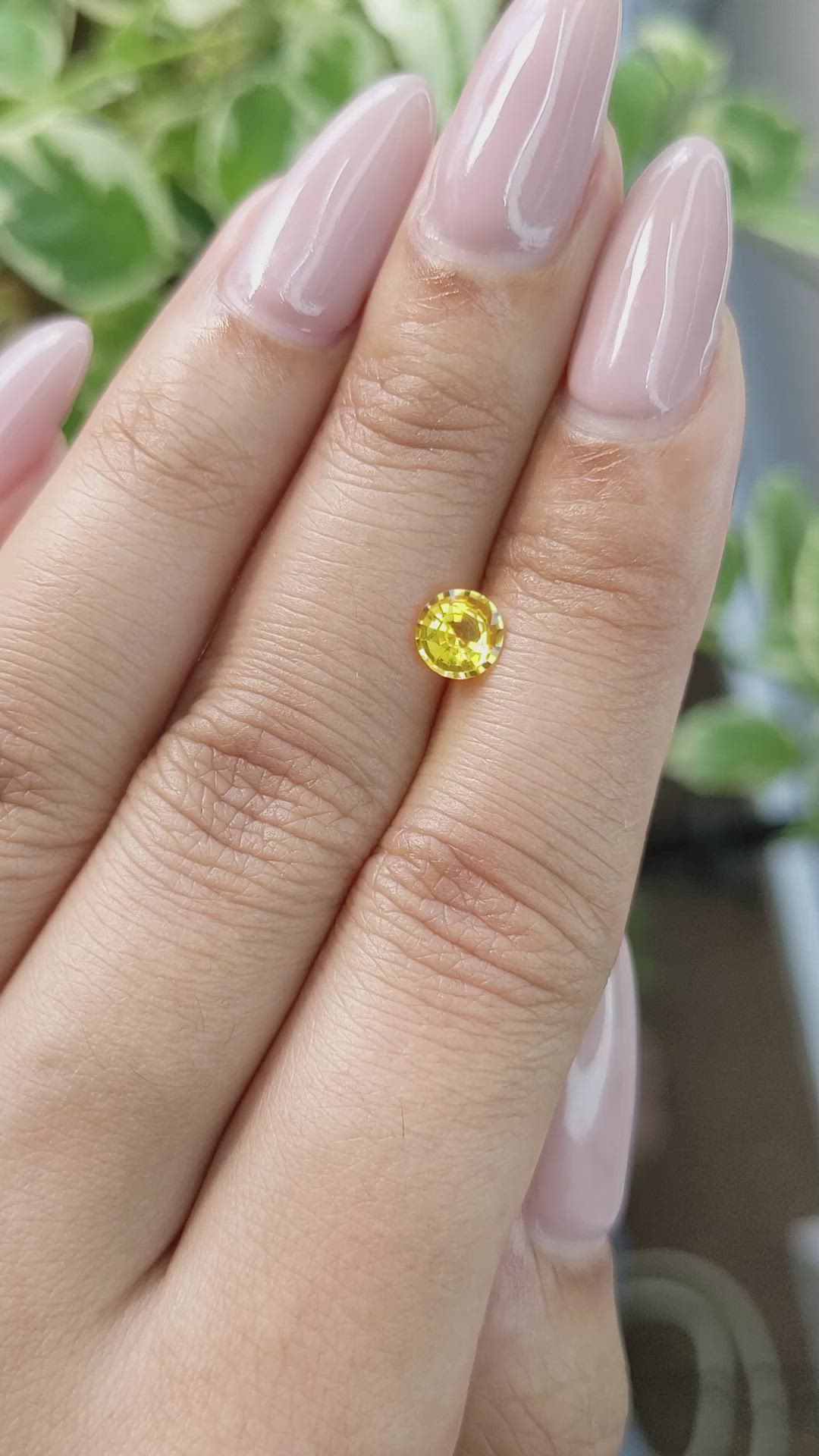 0.60 Ct. Yellow Sapphire from Ceylon (Sri Lanka) Size Video