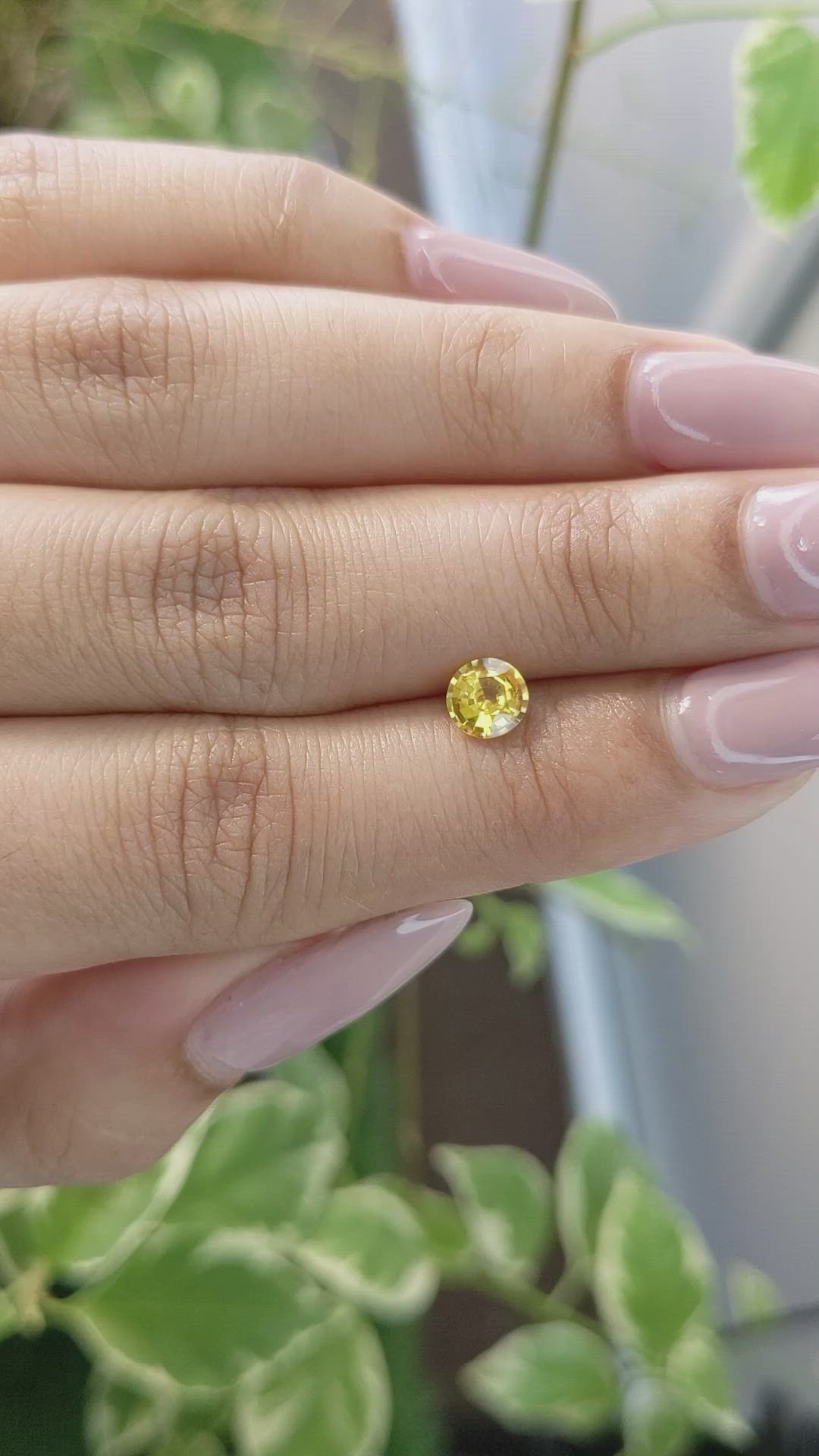 0.60 Ct. Yellow Sapphire from Ceylon (Sri Lanka) Size Video