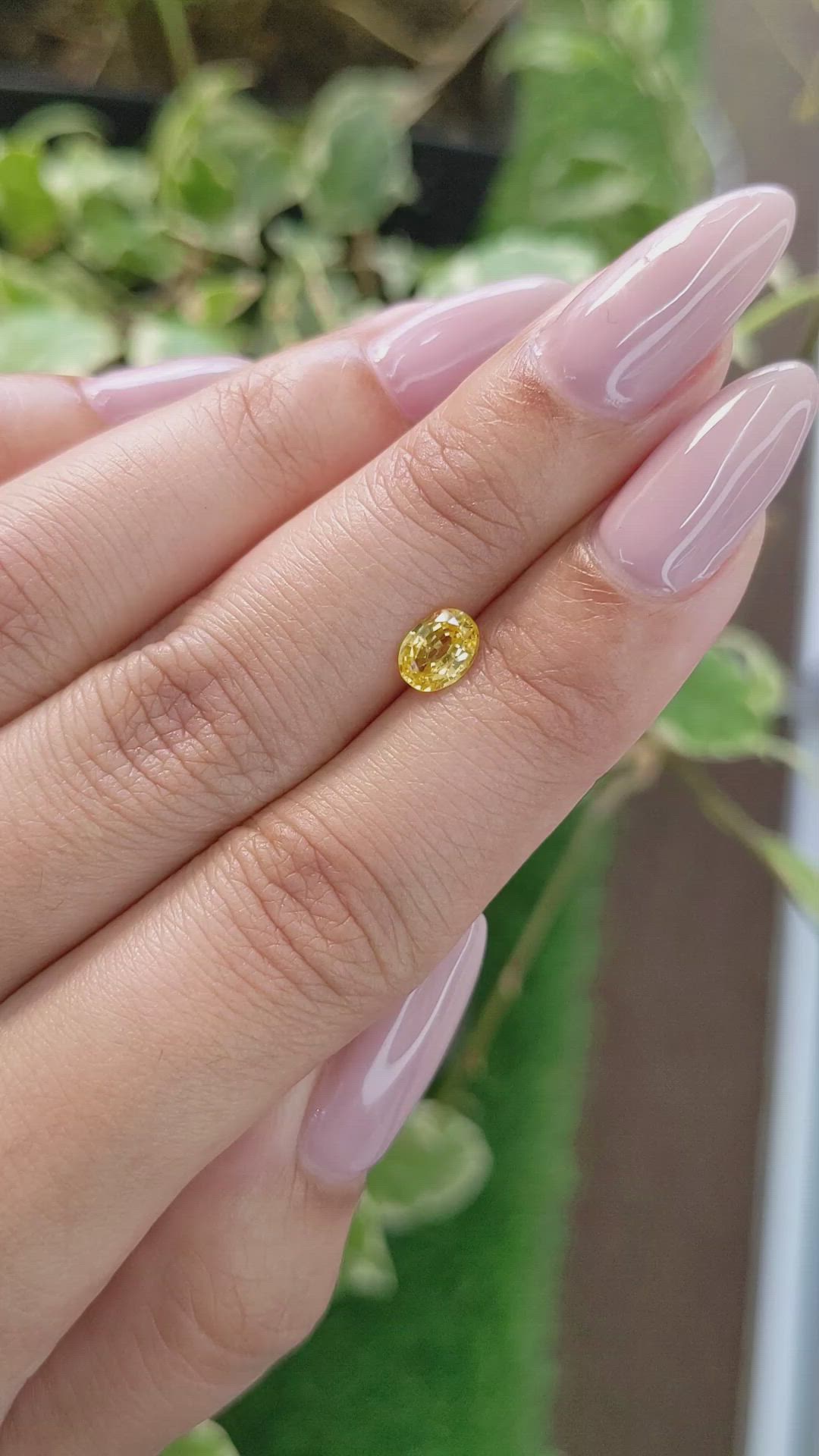 0.72 Ct. Yellow Sapphire from Ceylon (Sri Lanka) Size Video