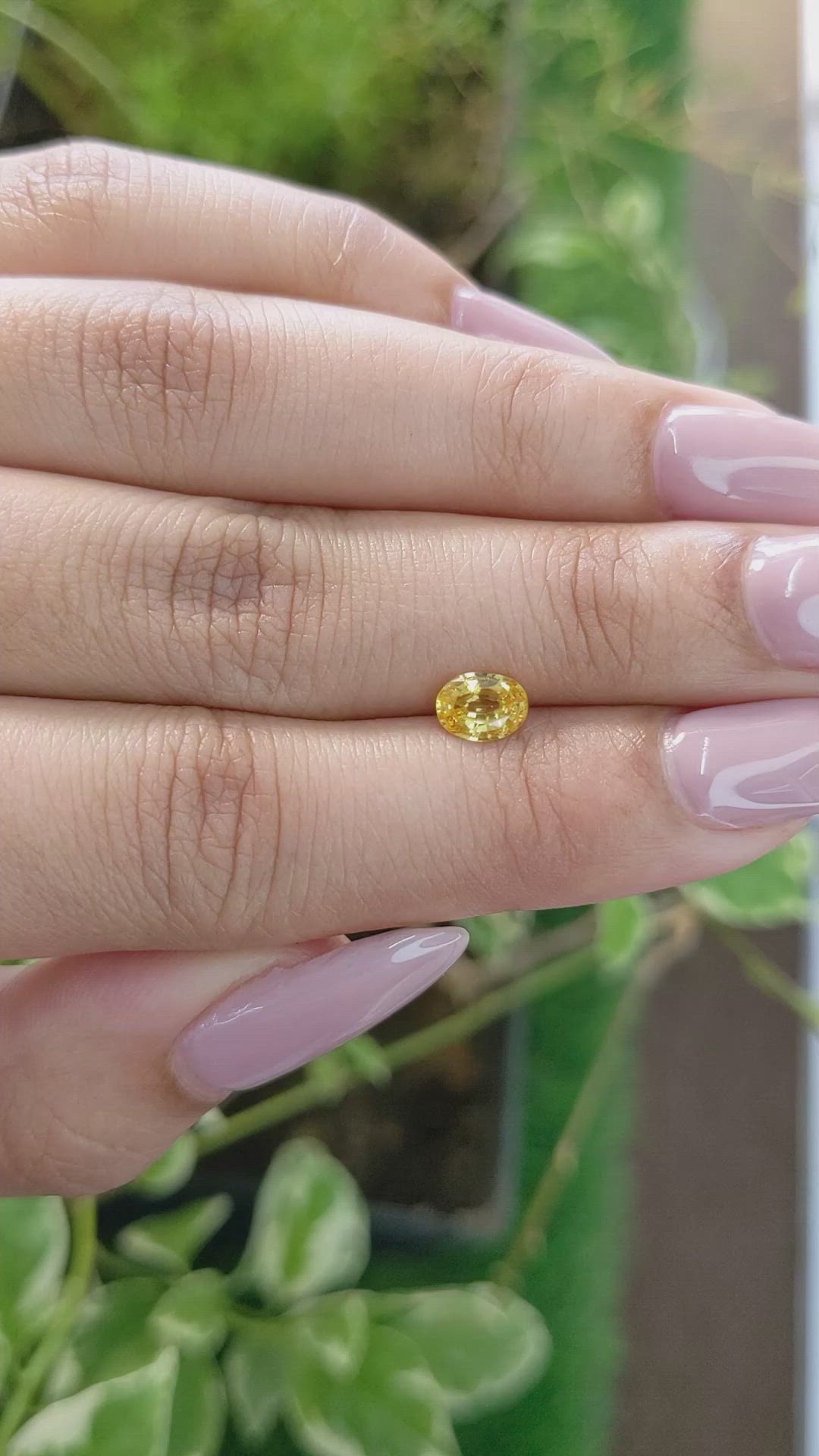 0.72 Ct. Yellow Sapphire from Ceylon (Sri Lanka) Size Video