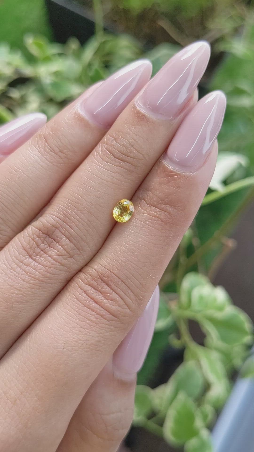 0.57 Ct. Yellow Sapphire from Ceylon (Sri Lanka) Size Video
