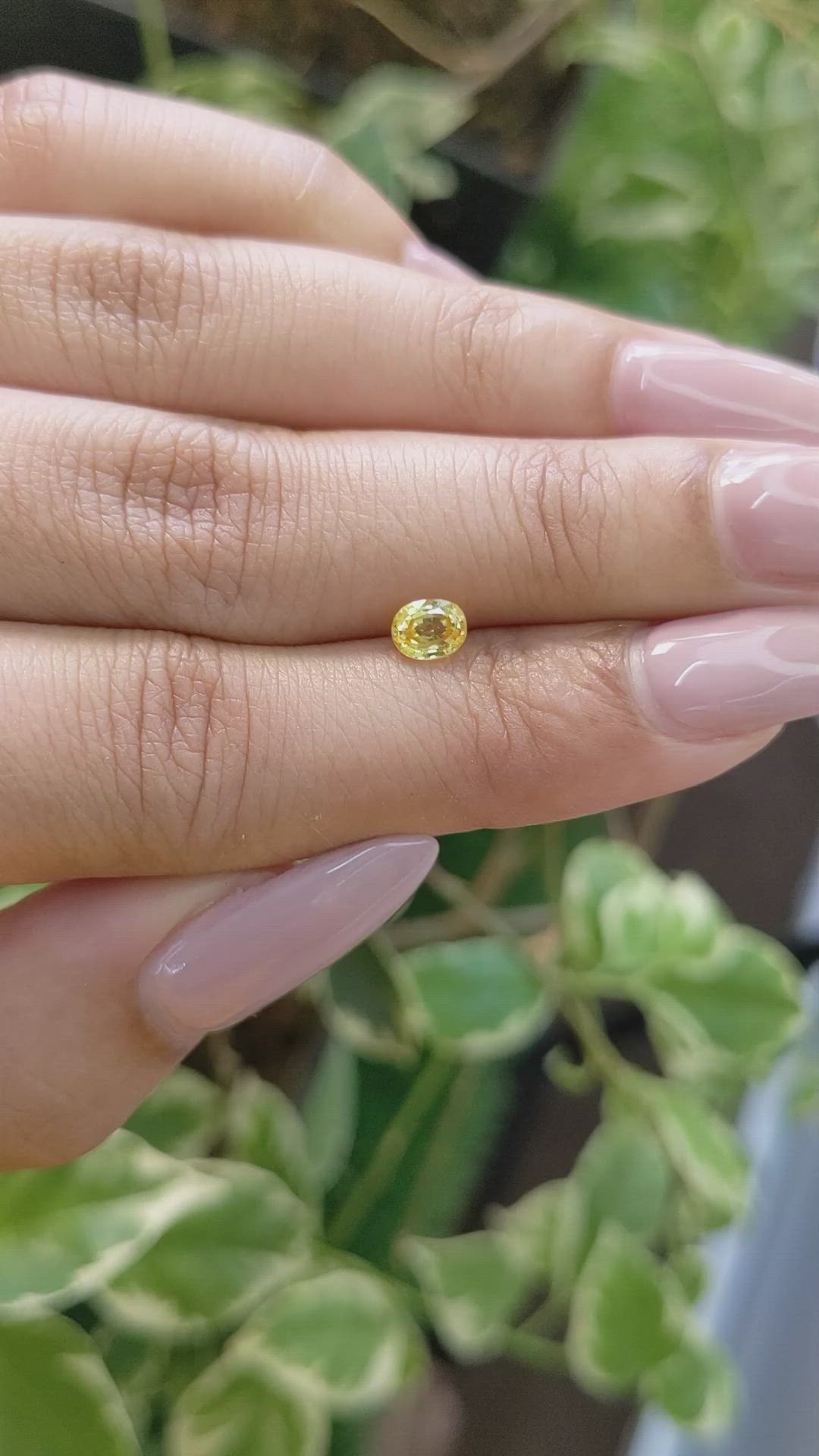 0.57 Ct. Yellow Sapphire from Ceylon (Sri Lanka) Size Video
