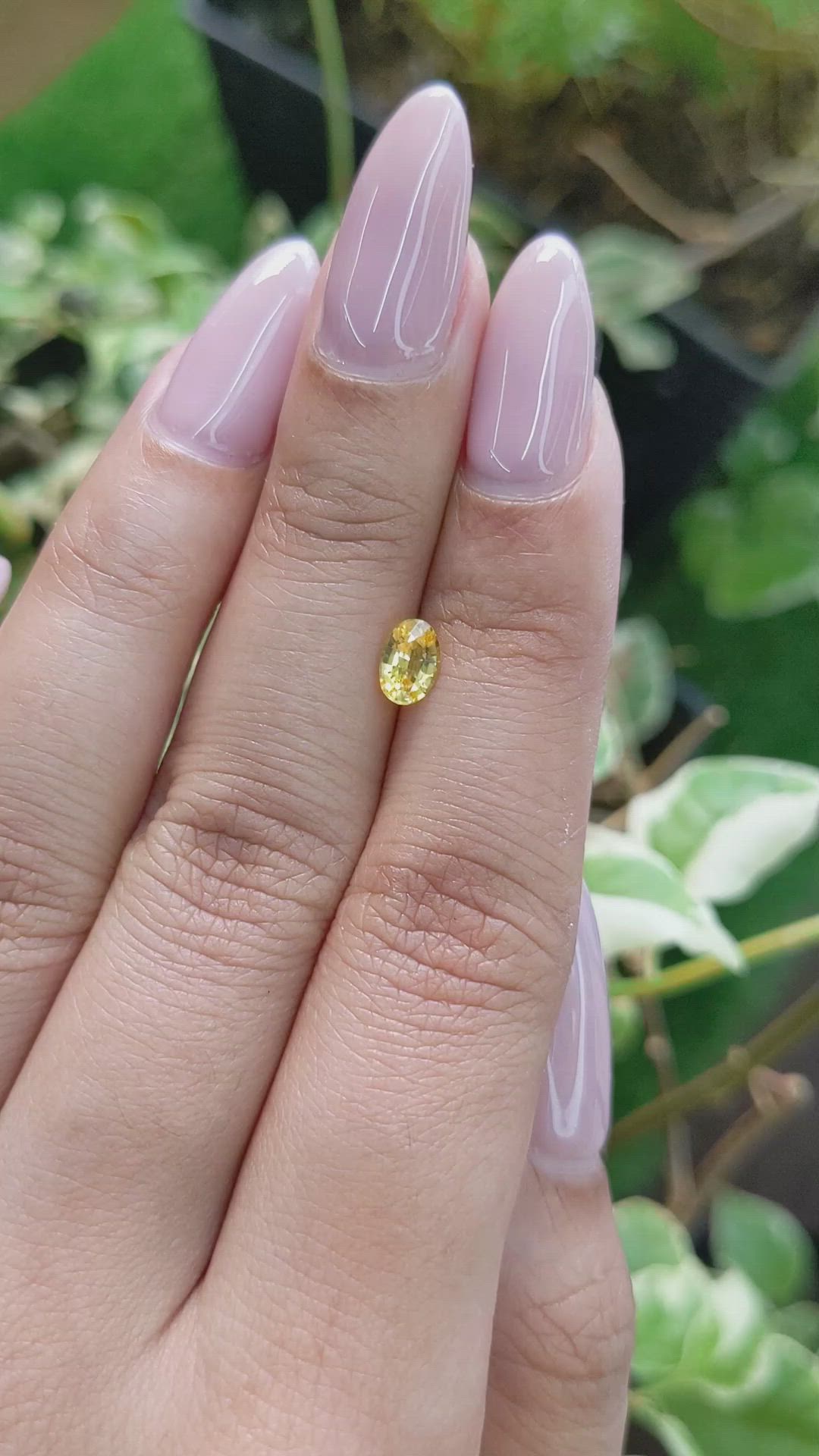 0.57 Ct. Yellow Sapphire from Ceylon (Sri Lanka) Size Video