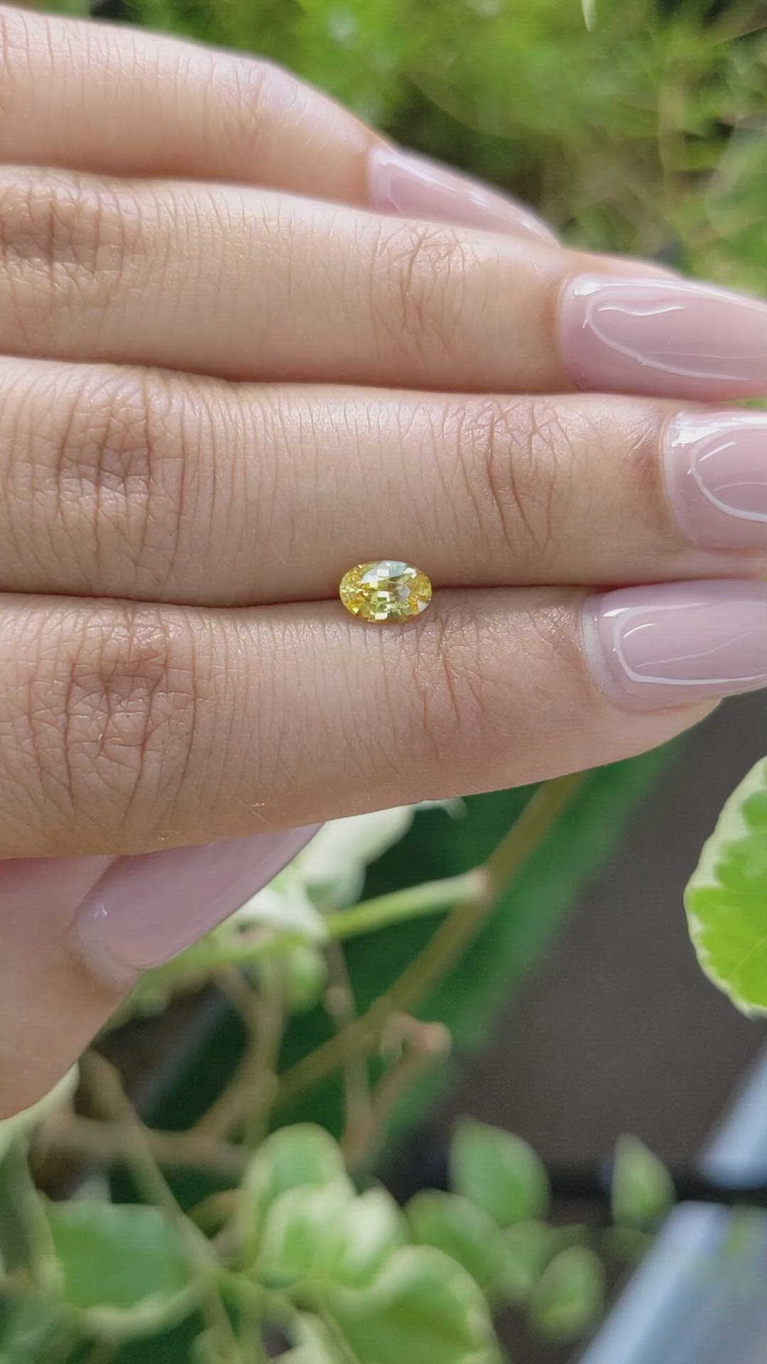 0.57 Ct. Yellow Sapphire from Ceylon (Sri Lanka) Size Video