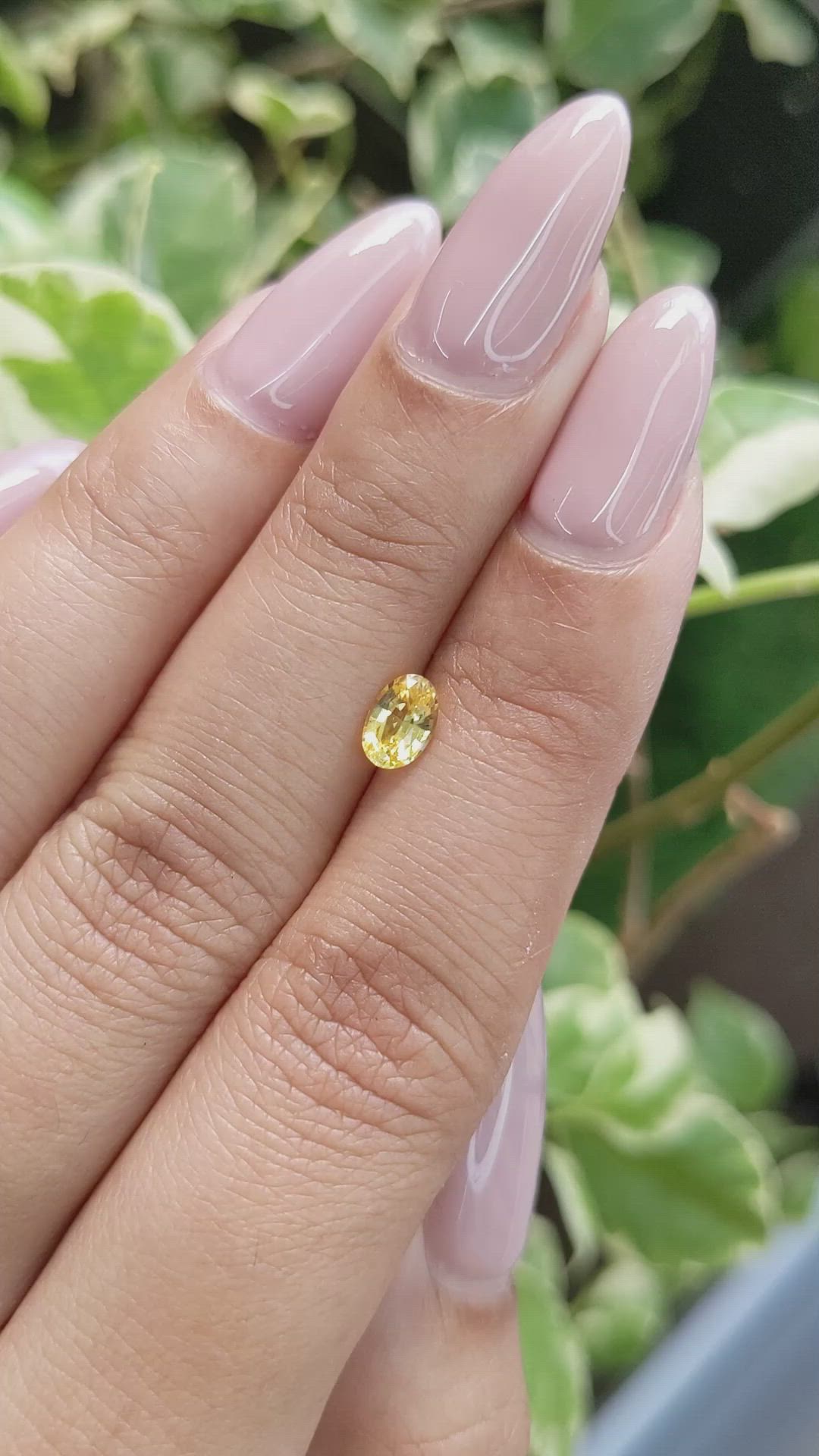 0.57 Ct. Yellow Sapphire from Ceylon (Sri Lanka) Size Video