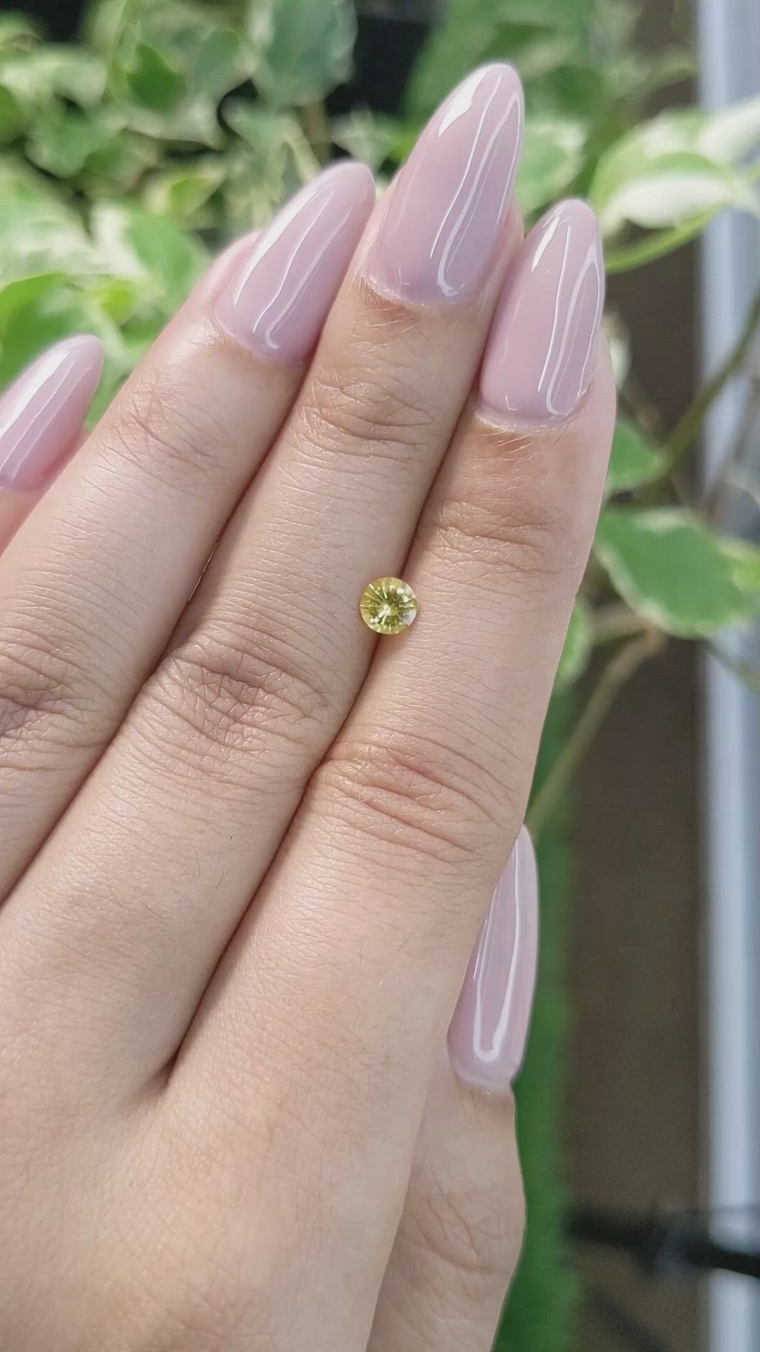 0.41 Ct. Yellow Sapphire from Ceylon (Sri Lanka) Size Video