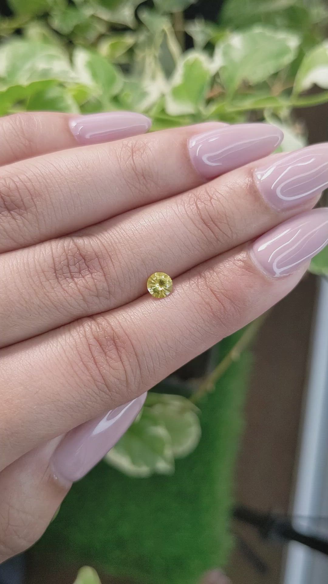 0.41 Ct. Yellow Sapphire from Ceylon (Sri Lanka) Size Video