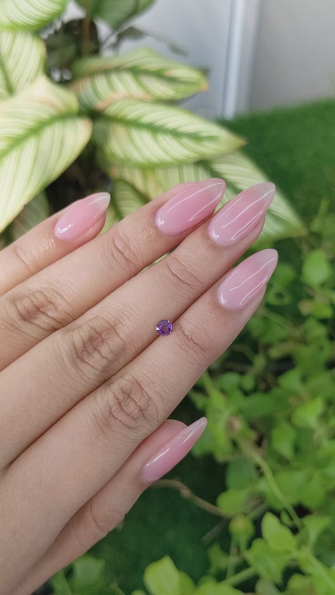 0.22 Ct. Purple Sapphire from Ceylon (Sri Lanka) Size Video