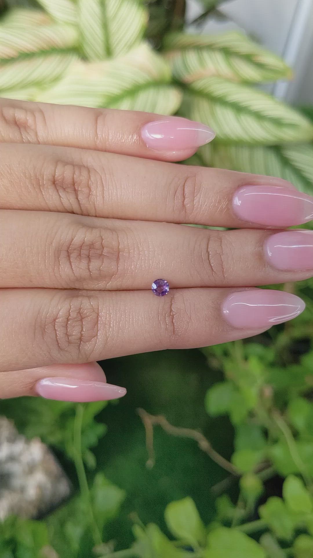 0.22 Ct. Purple Sapphire from Ceylon (Sri Lanka) Size Video