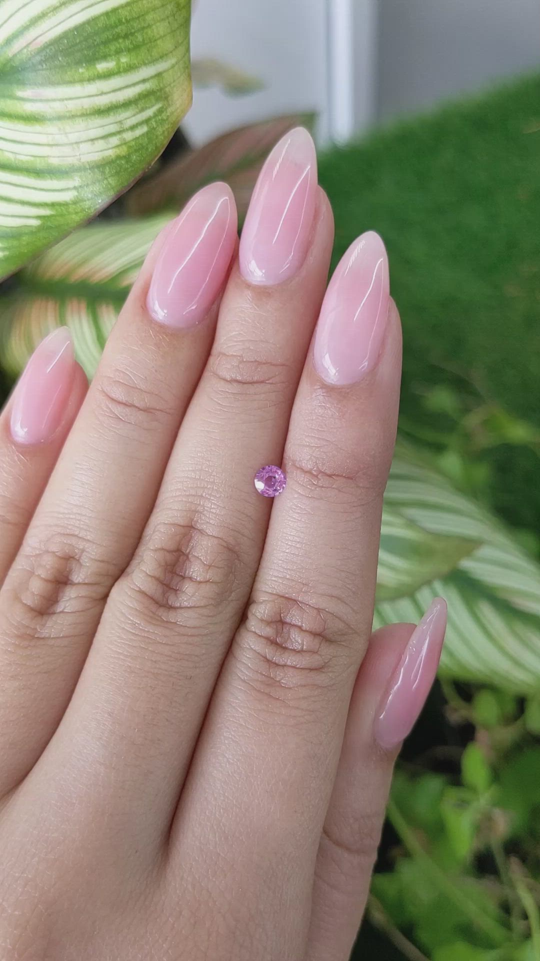0.24 Ct. Pink Sapphire from Ceylon (Sri Lanka) Size Video