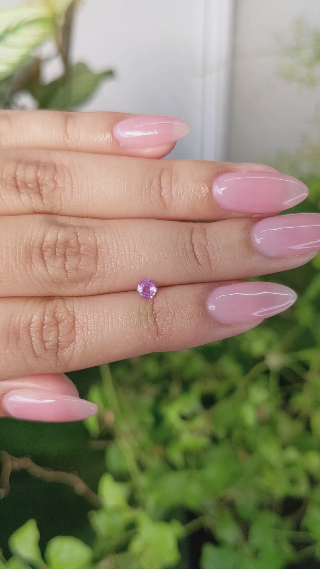 0.24 Ct. Pink Sapphire from Ceylon (Sri Lanka) Size Video
