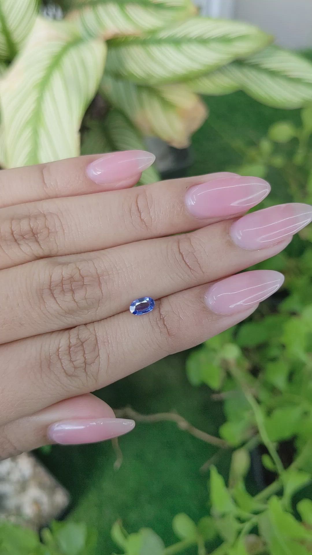 0.41 Ct. Blue Sapphire from Ceylon (Sri Lanka) Size Video