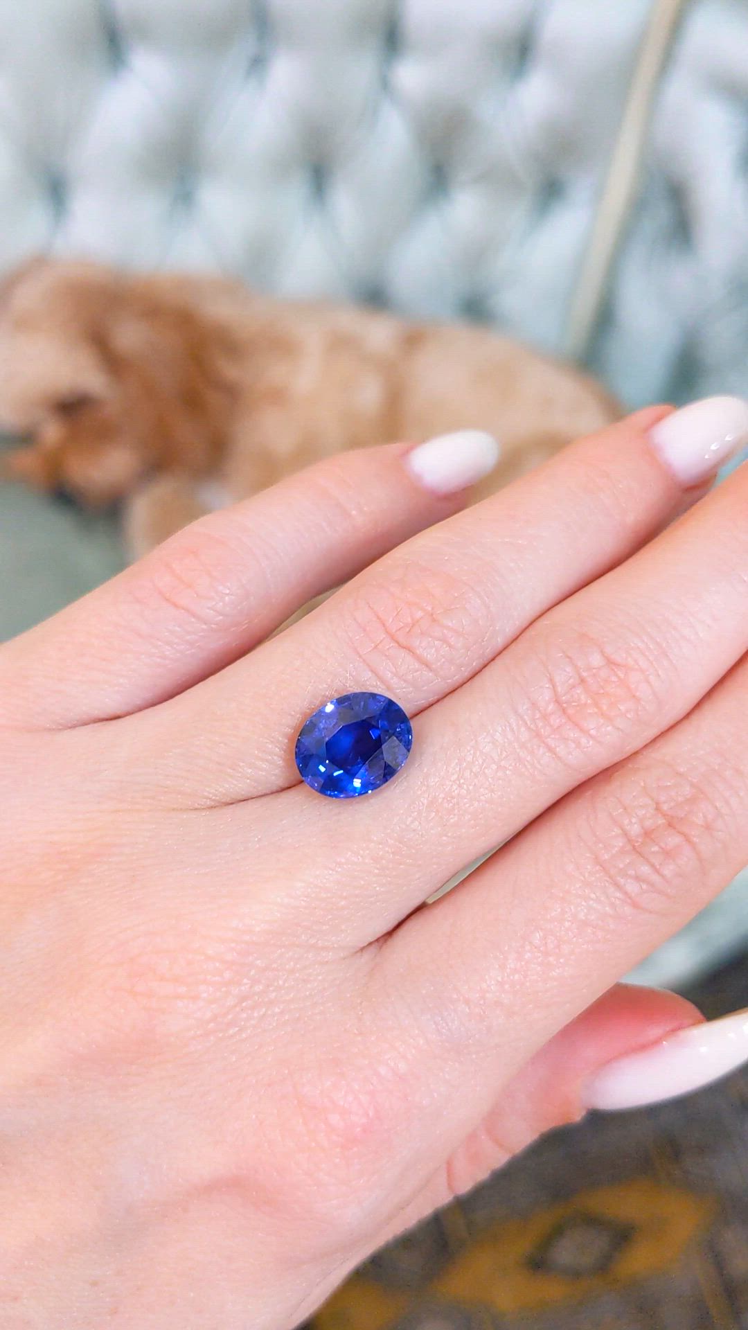5.66 Ct. Blue Sapphire from Ceylon (Sri Lanka) Size Video